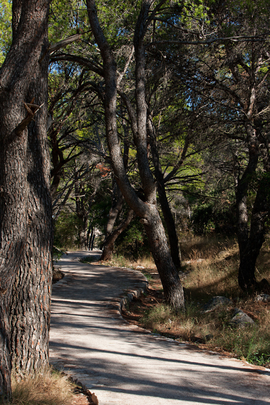 圣安东尼运河 | 生态景观的绿色创新-1