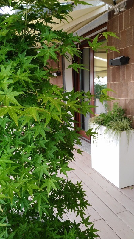 绿色视野的露台生活-1