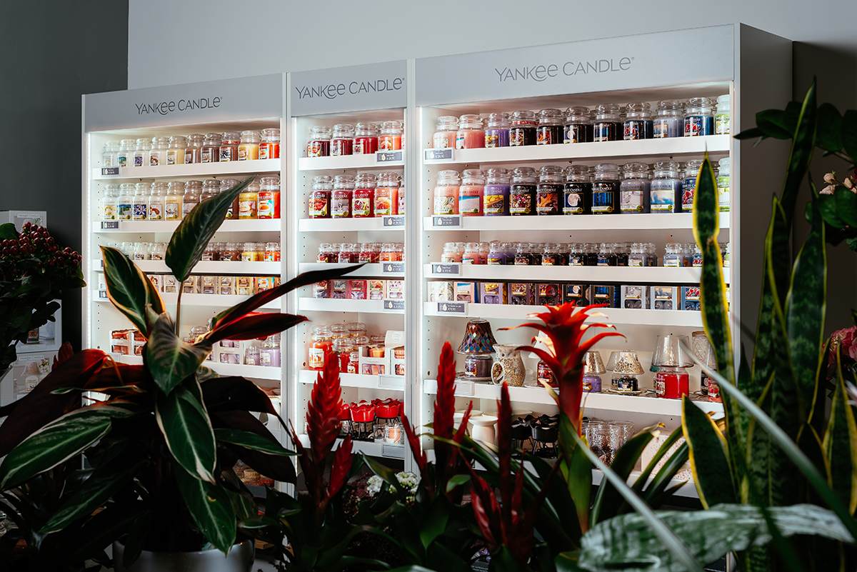 拉弗洛雷亚勒巴科利-11