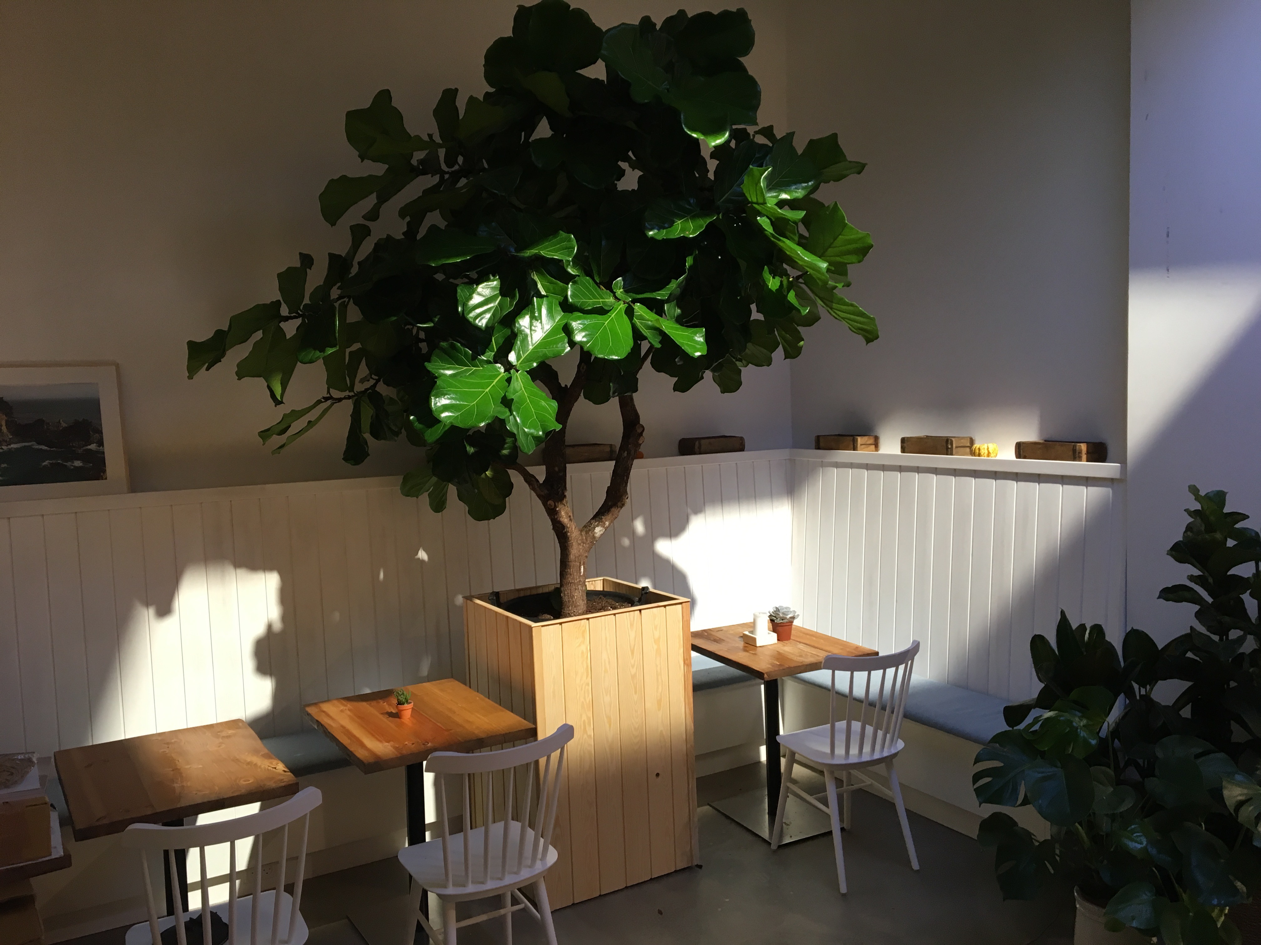 加州厨房餐厅-1