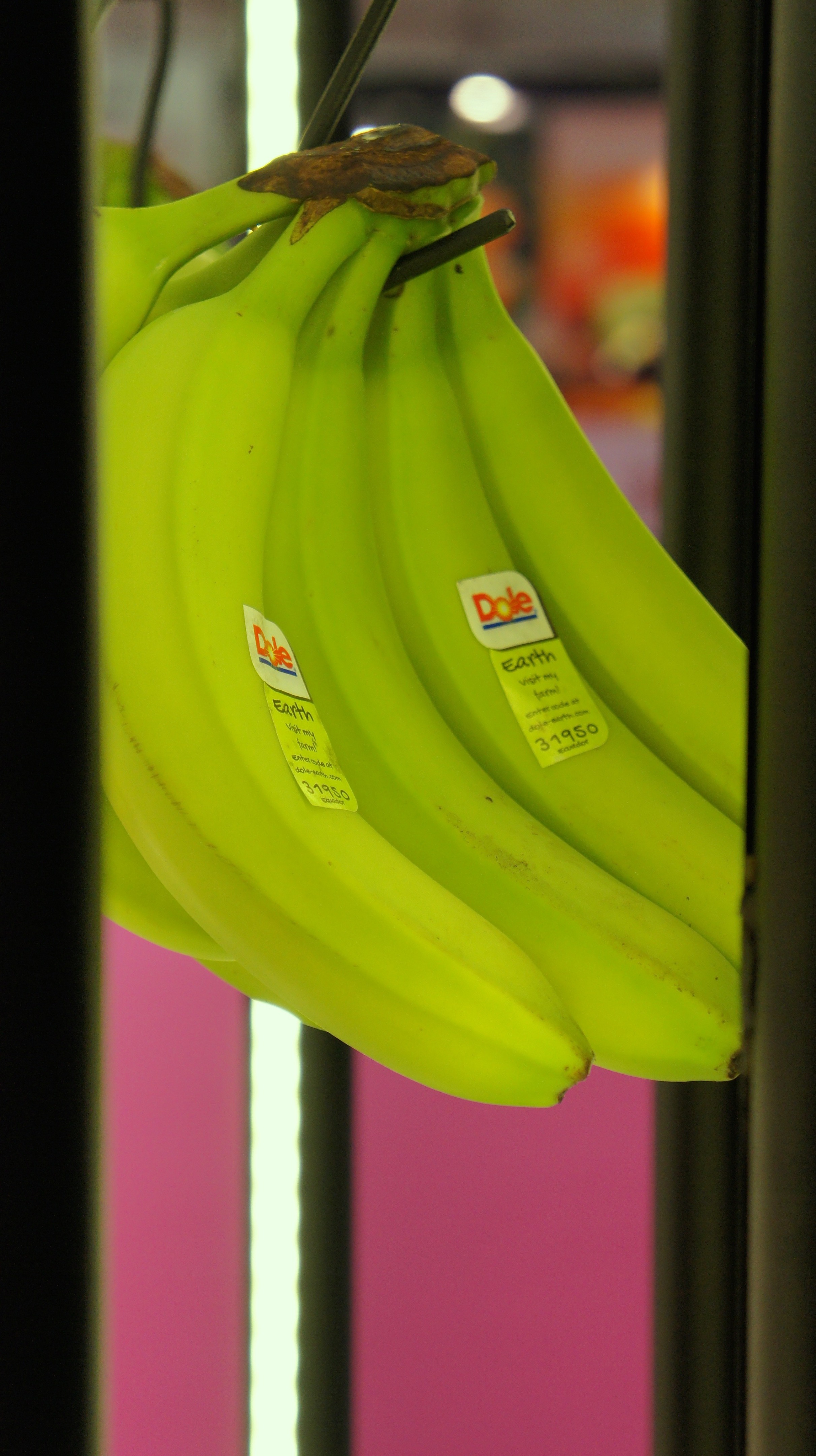 2018 年完成的垂直花园墙展览设计-7