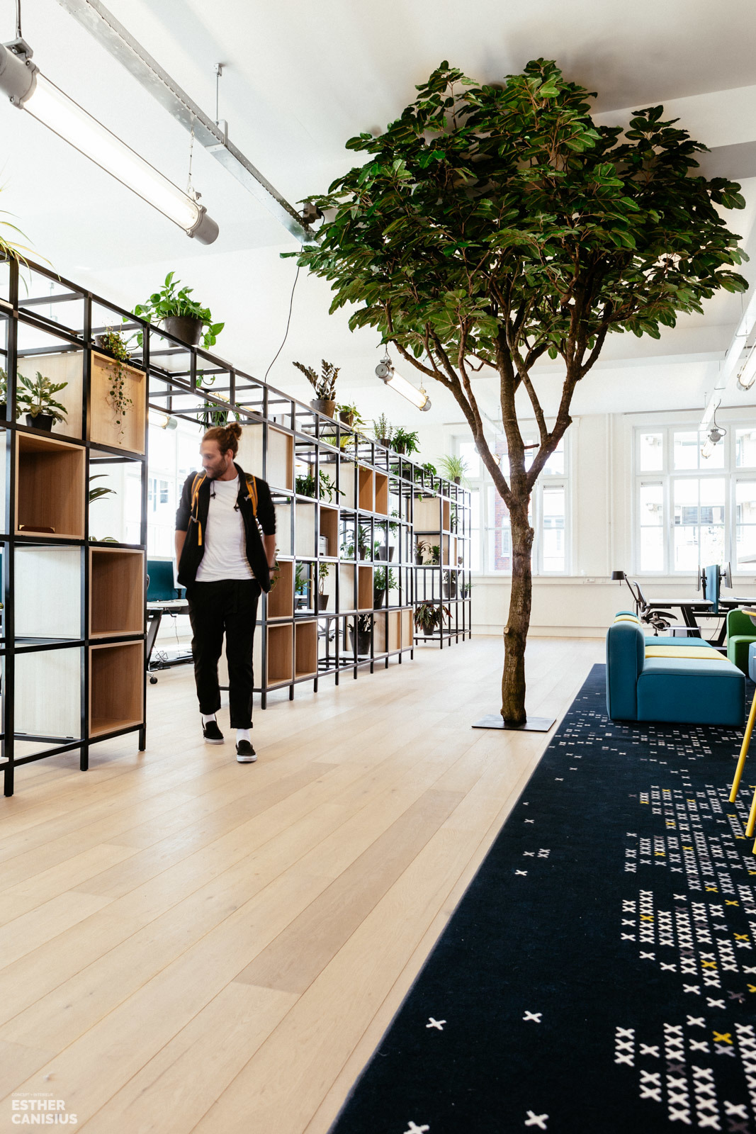 荷兰 Imkey 办公室 | 古典建筑中的现代绿意空间-3