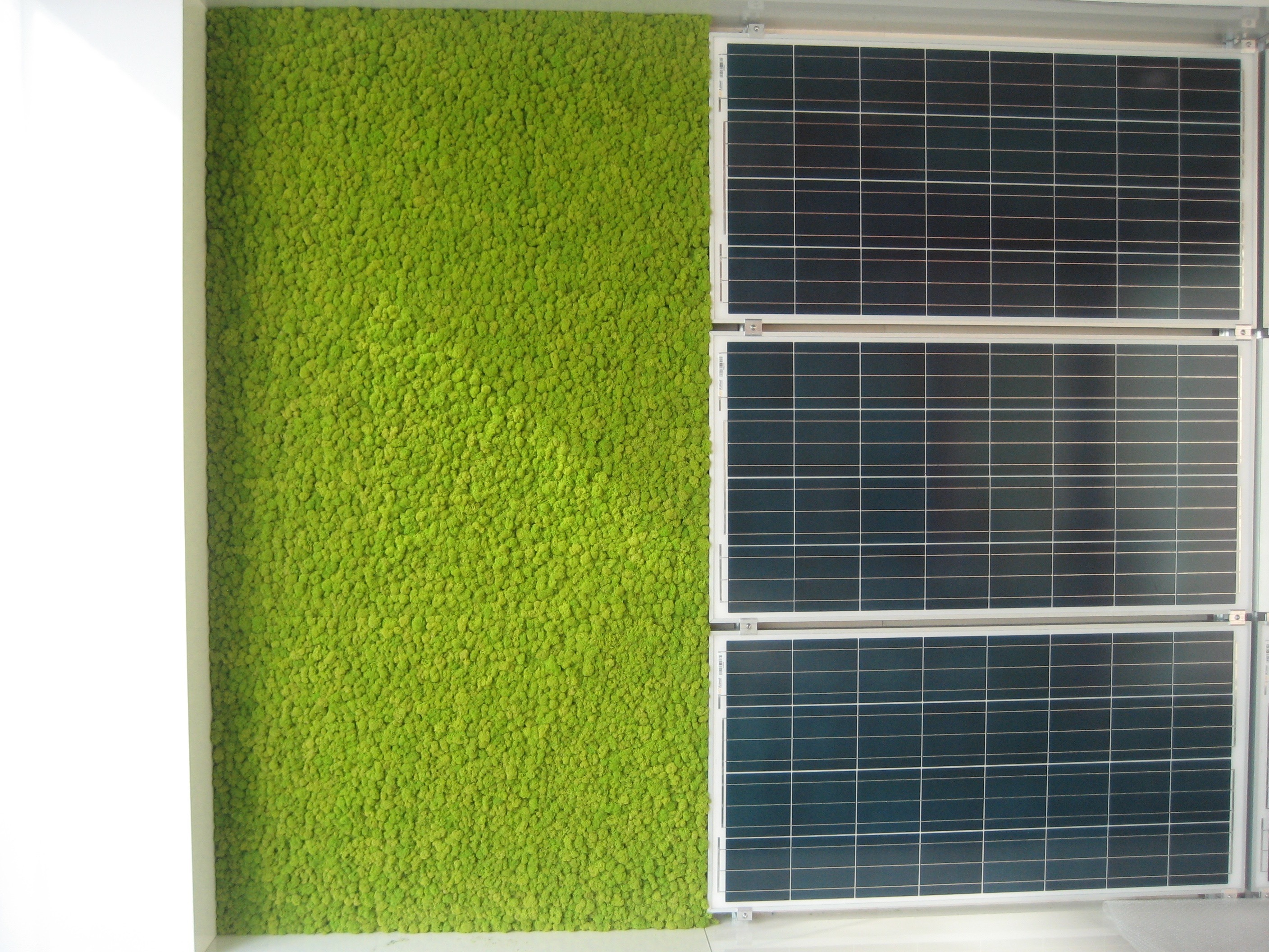 绿意盎然垂直花园-11