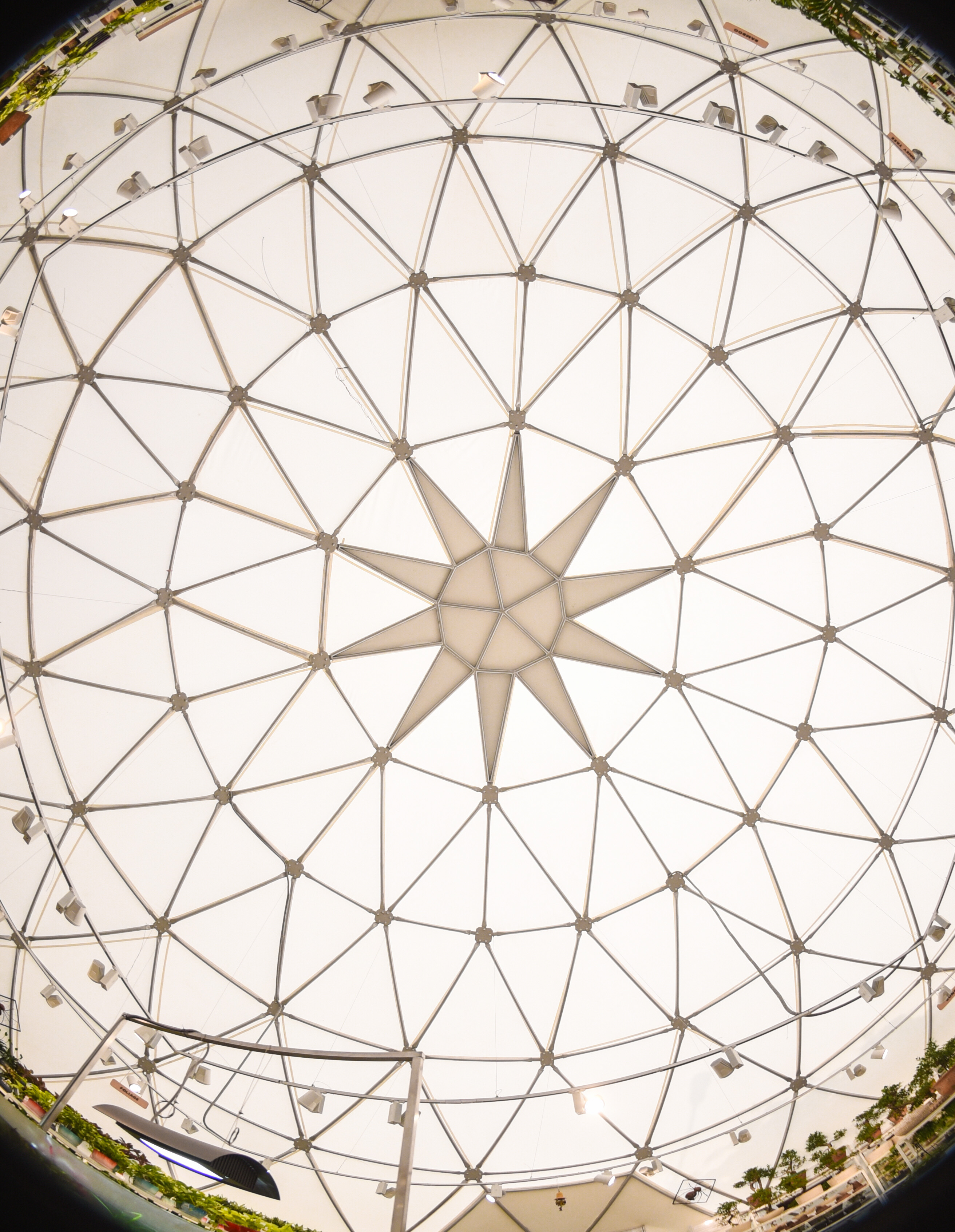 绿色氧吧 NG Studio-9