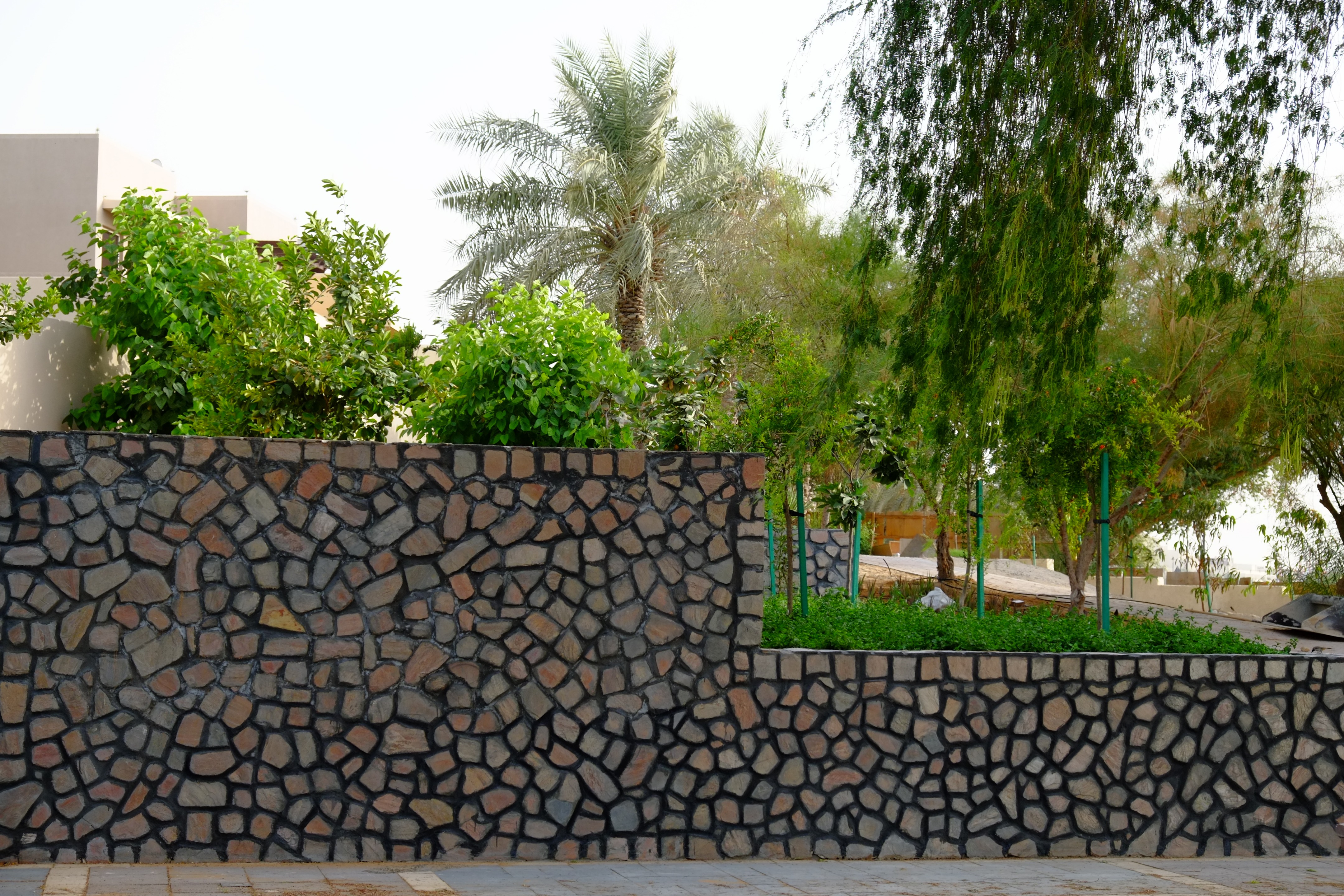 阿拉伯绿洲——迪拜亚拉巴马 ranchs 老入口景观升级-3