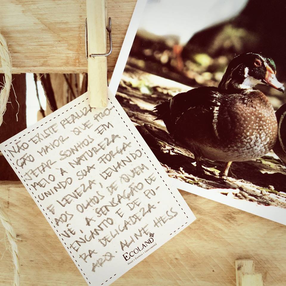 生态家园 · 圣佩莱格里诺车站-24