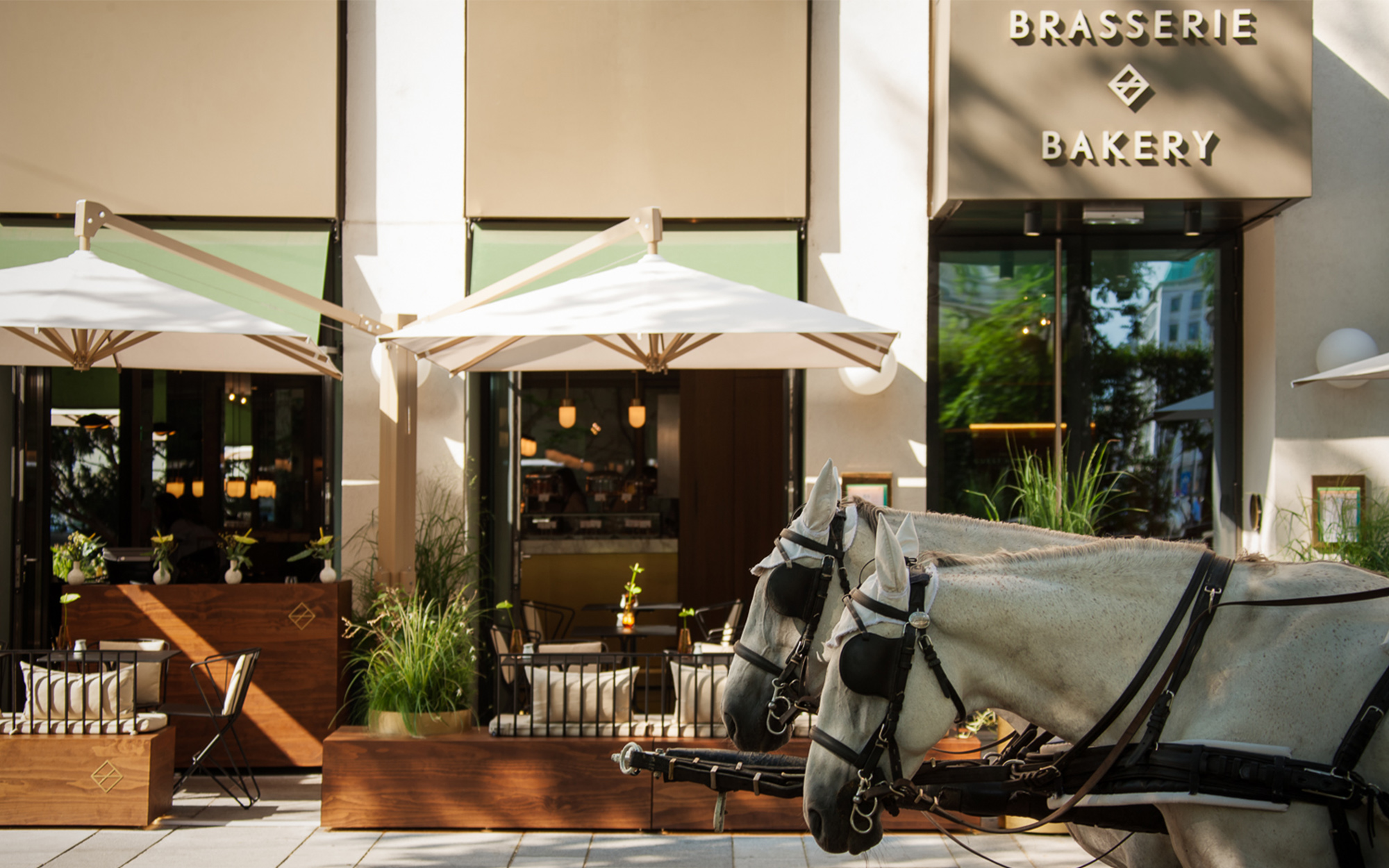 维也纳 Guest House 餐厅-4