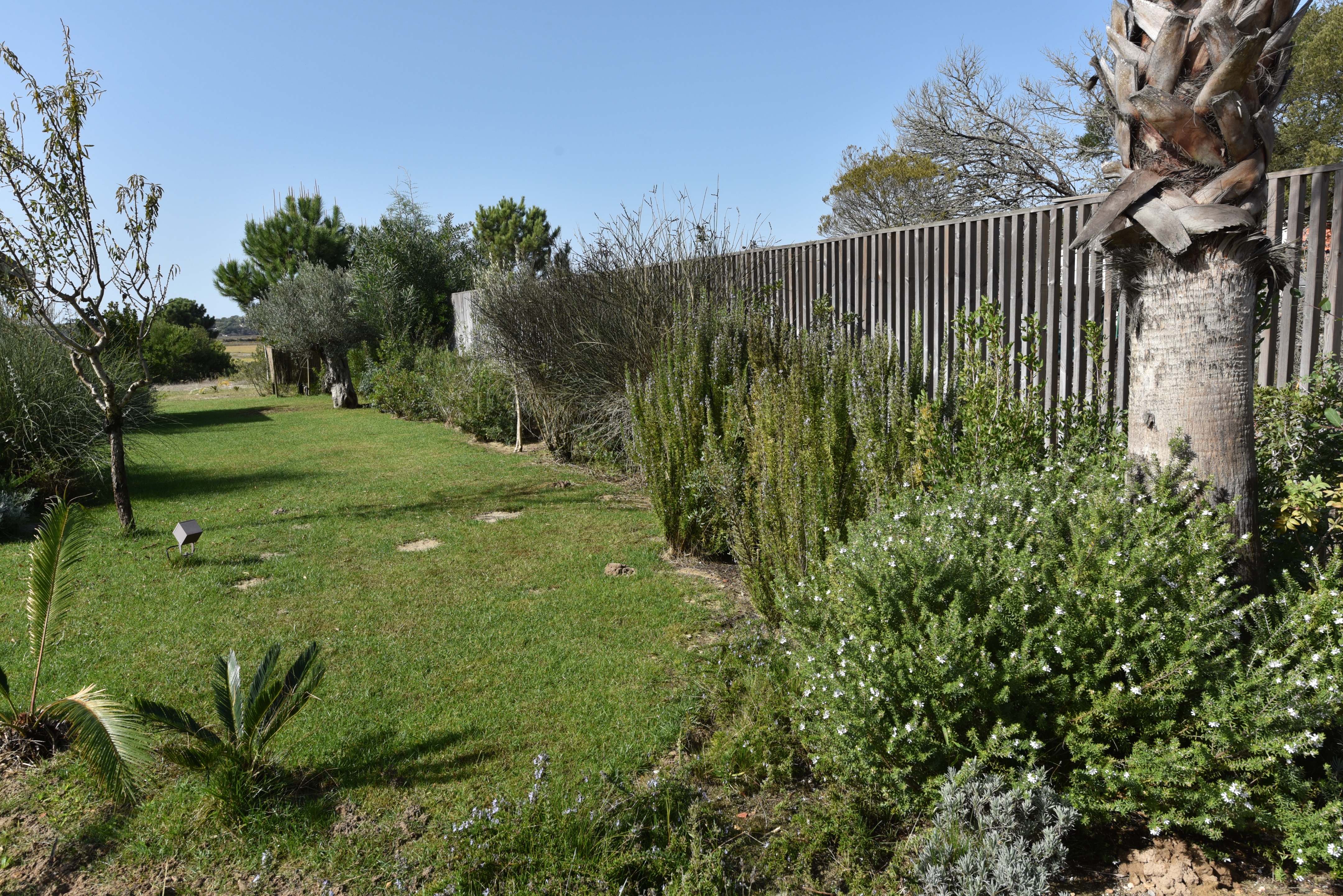 葡萄牙 Comporta 家庭住宅 打造自然舒适空间-11