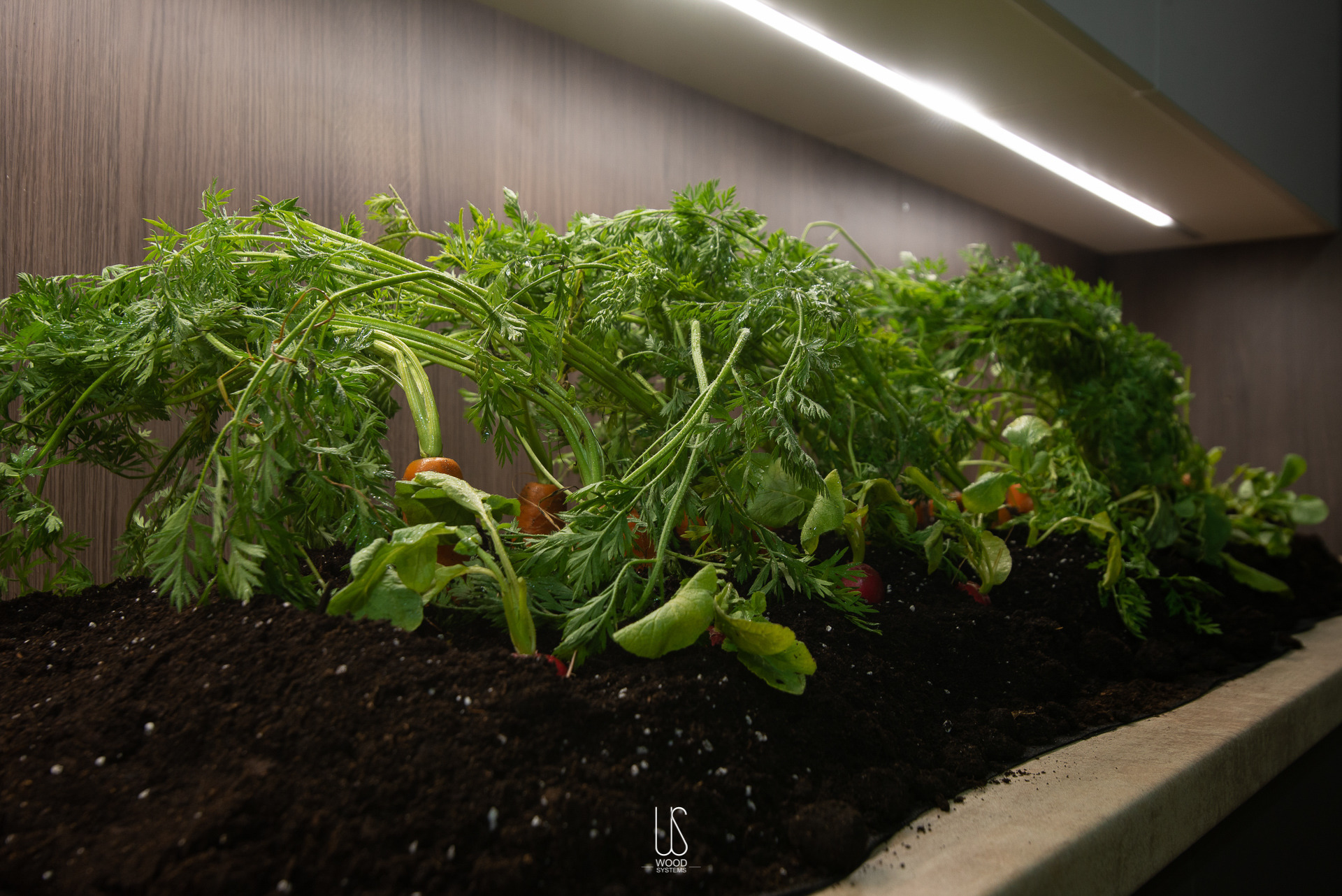 乌克兰基辅生活厨房（Kitchen "Shenghuo" by WOODSystems,Kyiv,Ukraine）-17