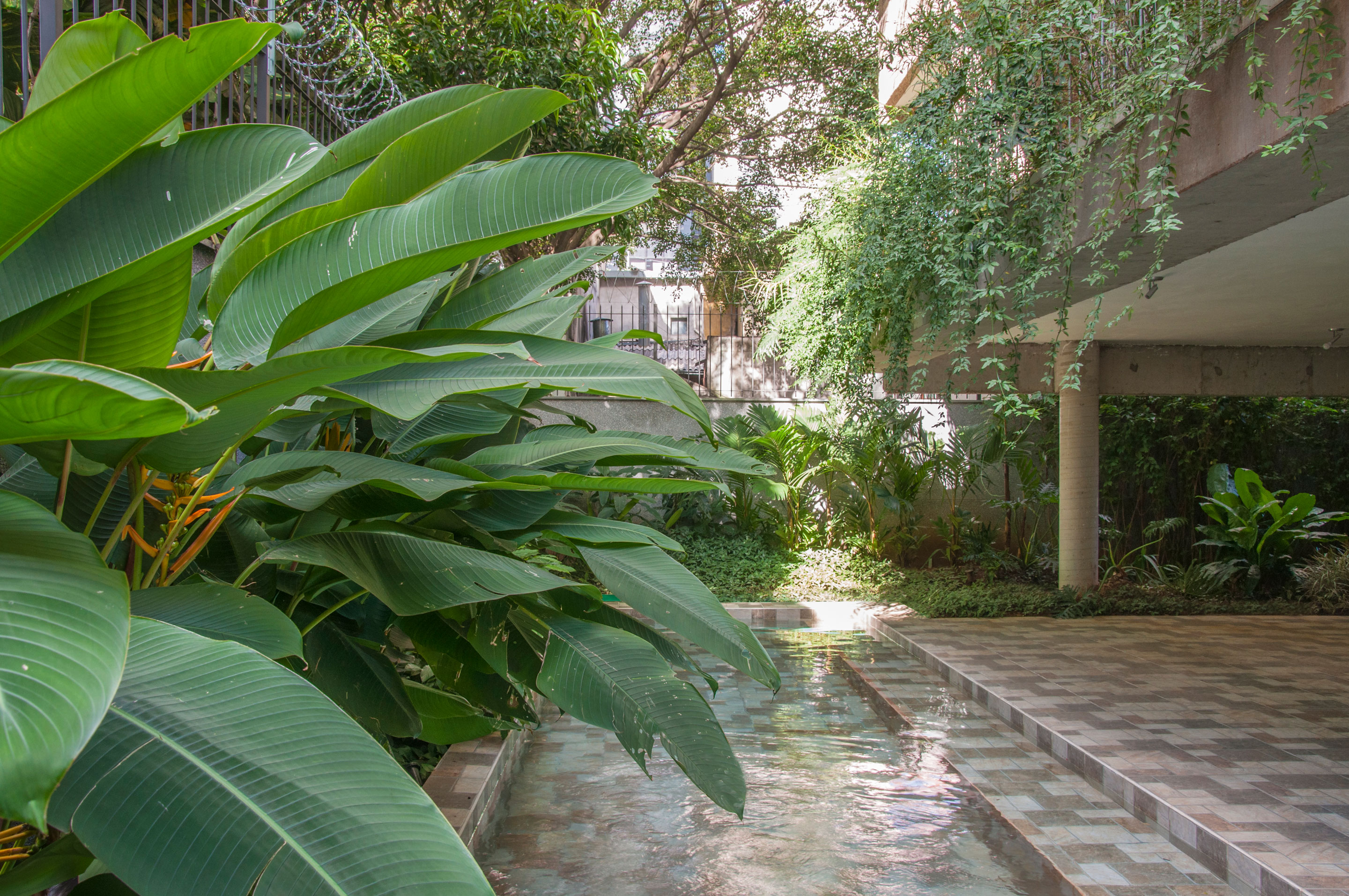 巴西绿色住宅楼，绿意盎然与城市景观相融-10