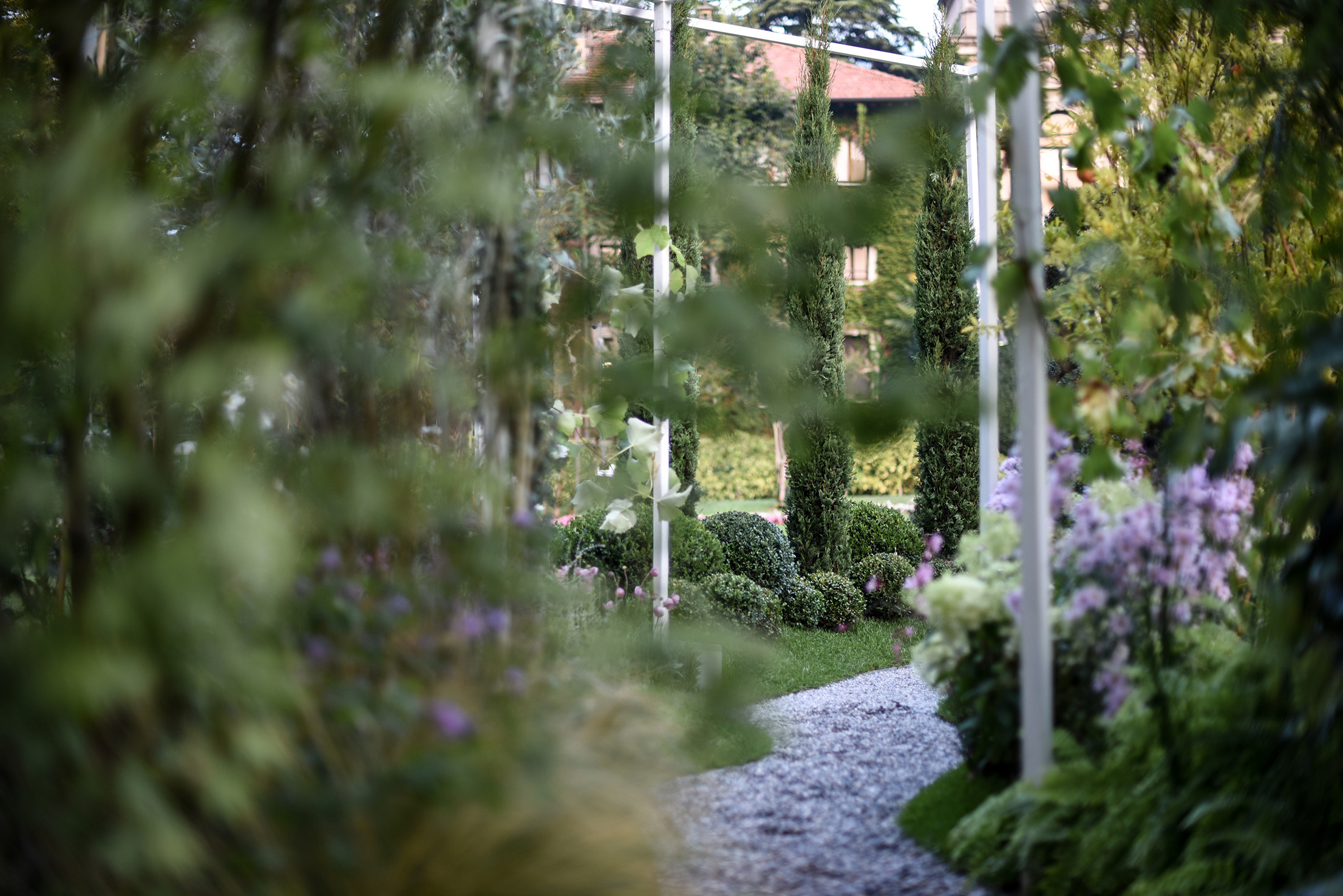 室内花园 · 自然与理性的完美结合-13