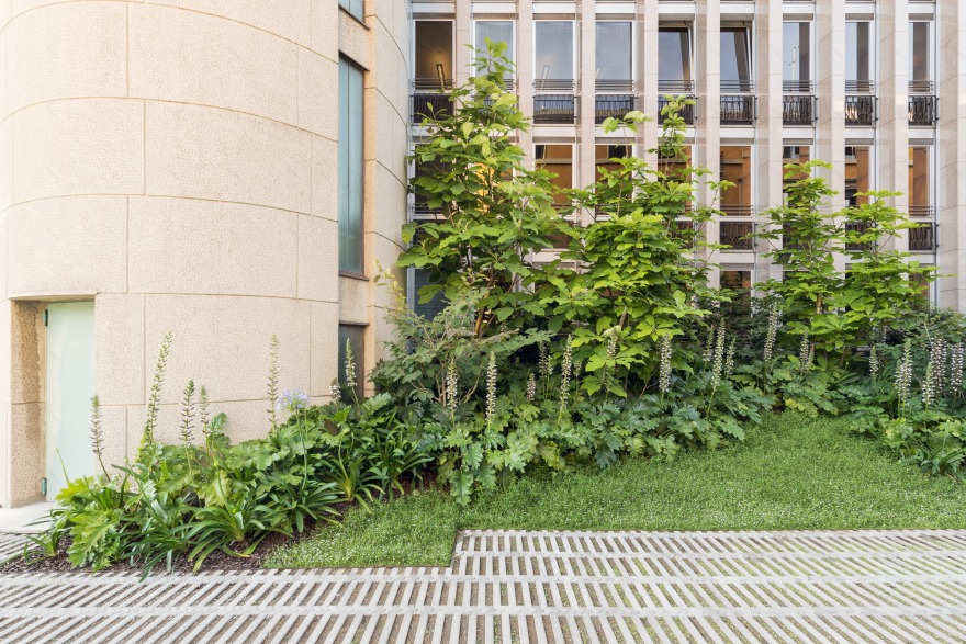 帕莱奥卡帕 7-42