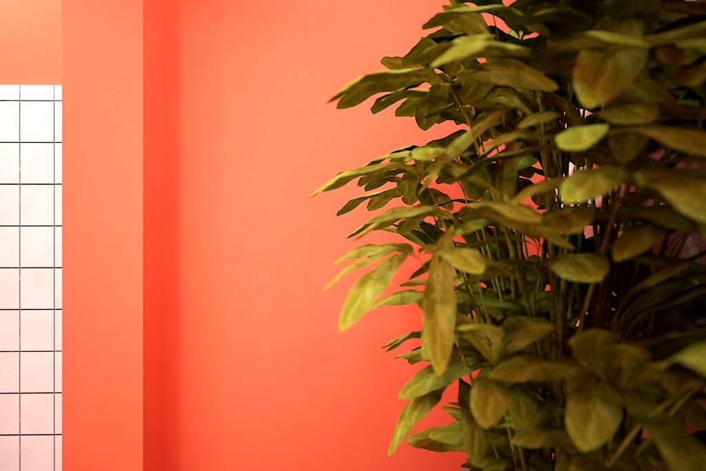 格鲁吉亚 Sololaki 青年旅舍——简约时尚的空间设计-31