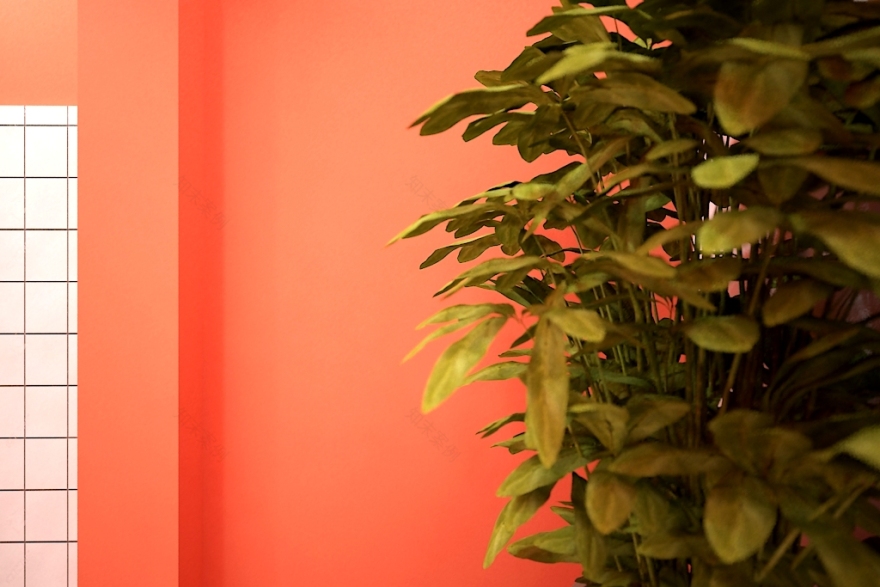 格鲁吉亚 Sololaki 青年旅舍——简约时尚的空间设计-31