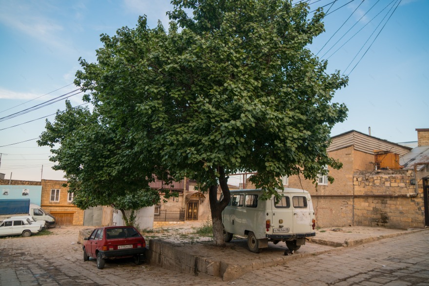 2017 年木质小品与景观设计的城市公园工作坊-6