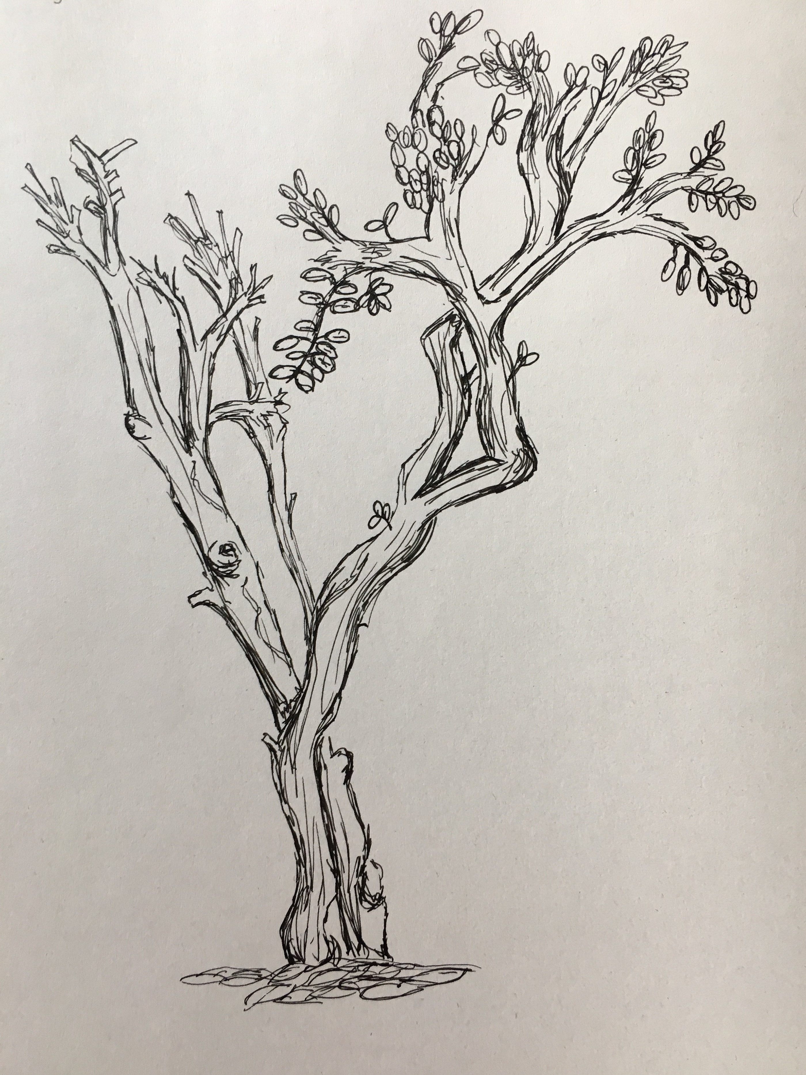 Graphics for the Building Arts Portfolio-10