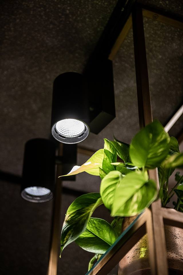 2018 年蒙特纳波展示厅 | 光与影的完美融合-0