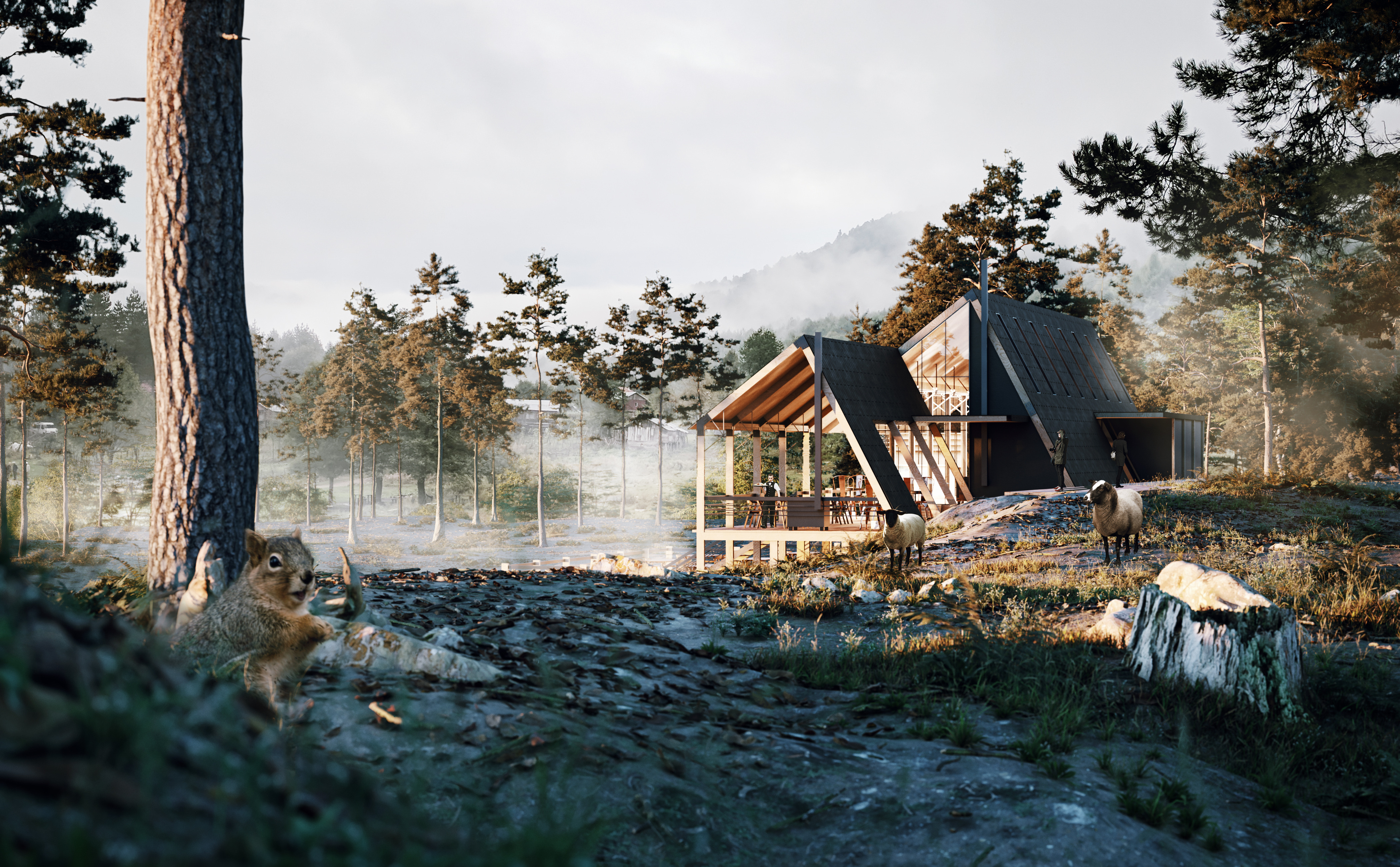 Boluklu Upland Project | 树木共生,自然与人文的和谐之作-2