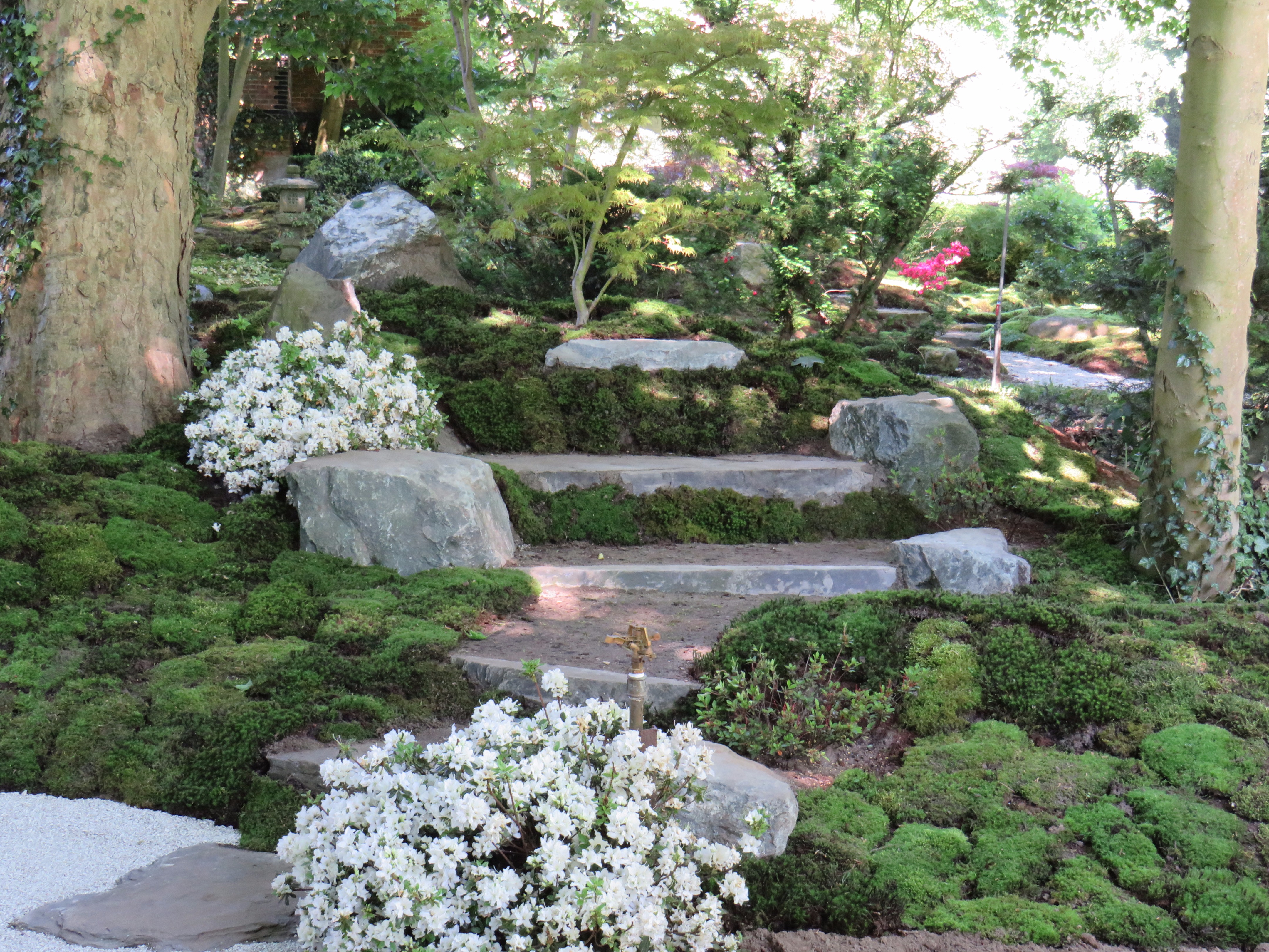 2017 日本花园研讨会 | 自然石座椅赏茶屋美景-6