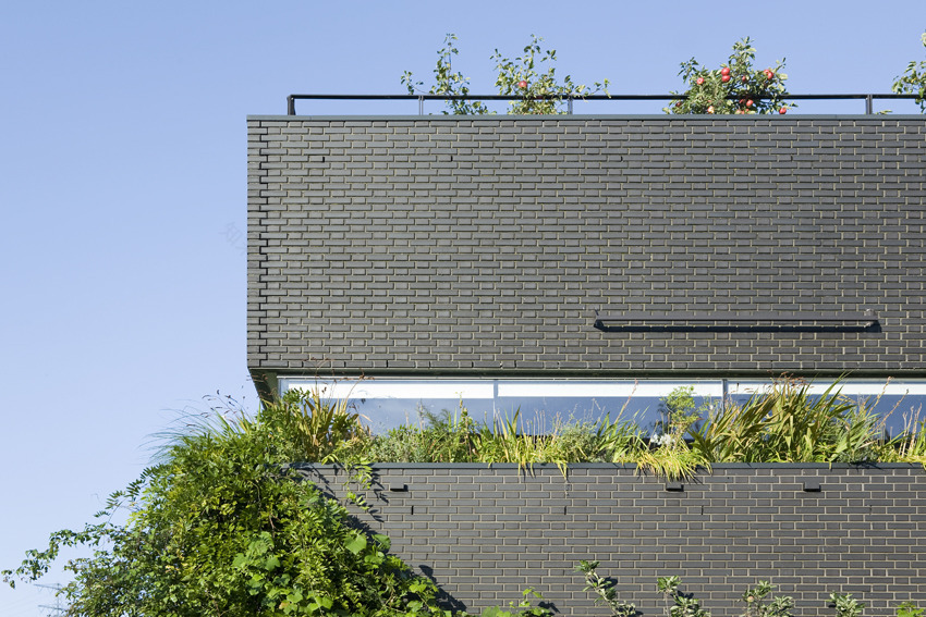 绿意盎然的家 | 垂直花园的室内设计-6