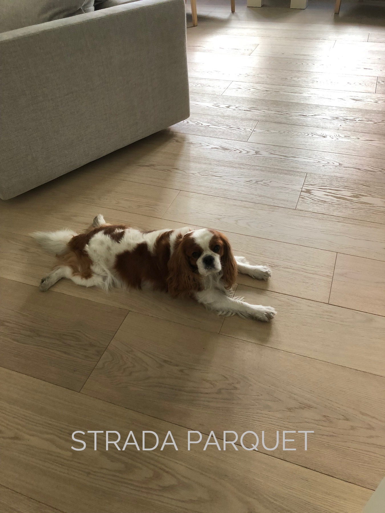 简约原木风格地板打造舒适空间-42