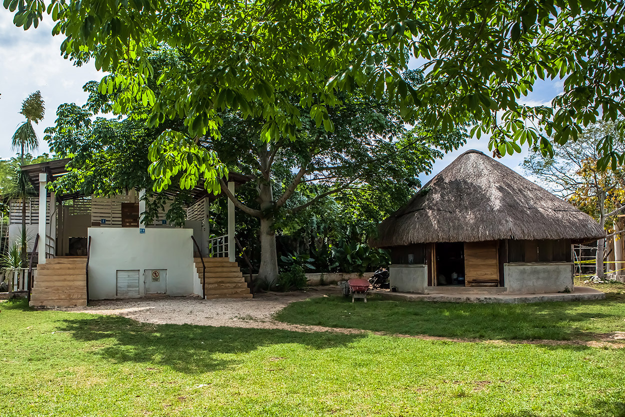 海洋之校 | Waldorf Initiative 学校设计-15