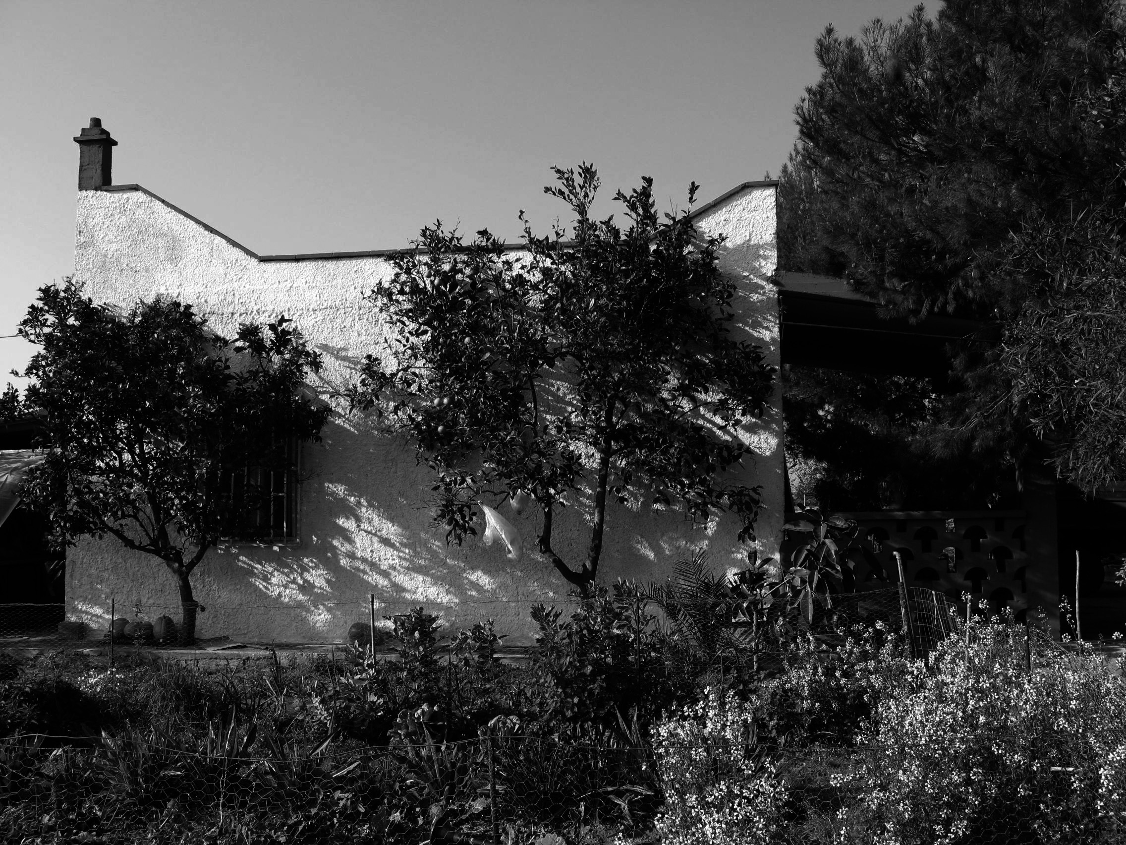 历史与当代的交融 | 卡赞诺奇家庭住宅-27