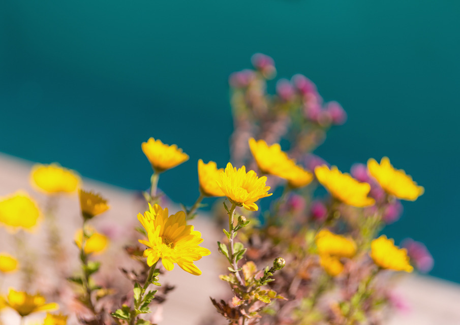 希腊豪华别墅 Vari Masionette-11