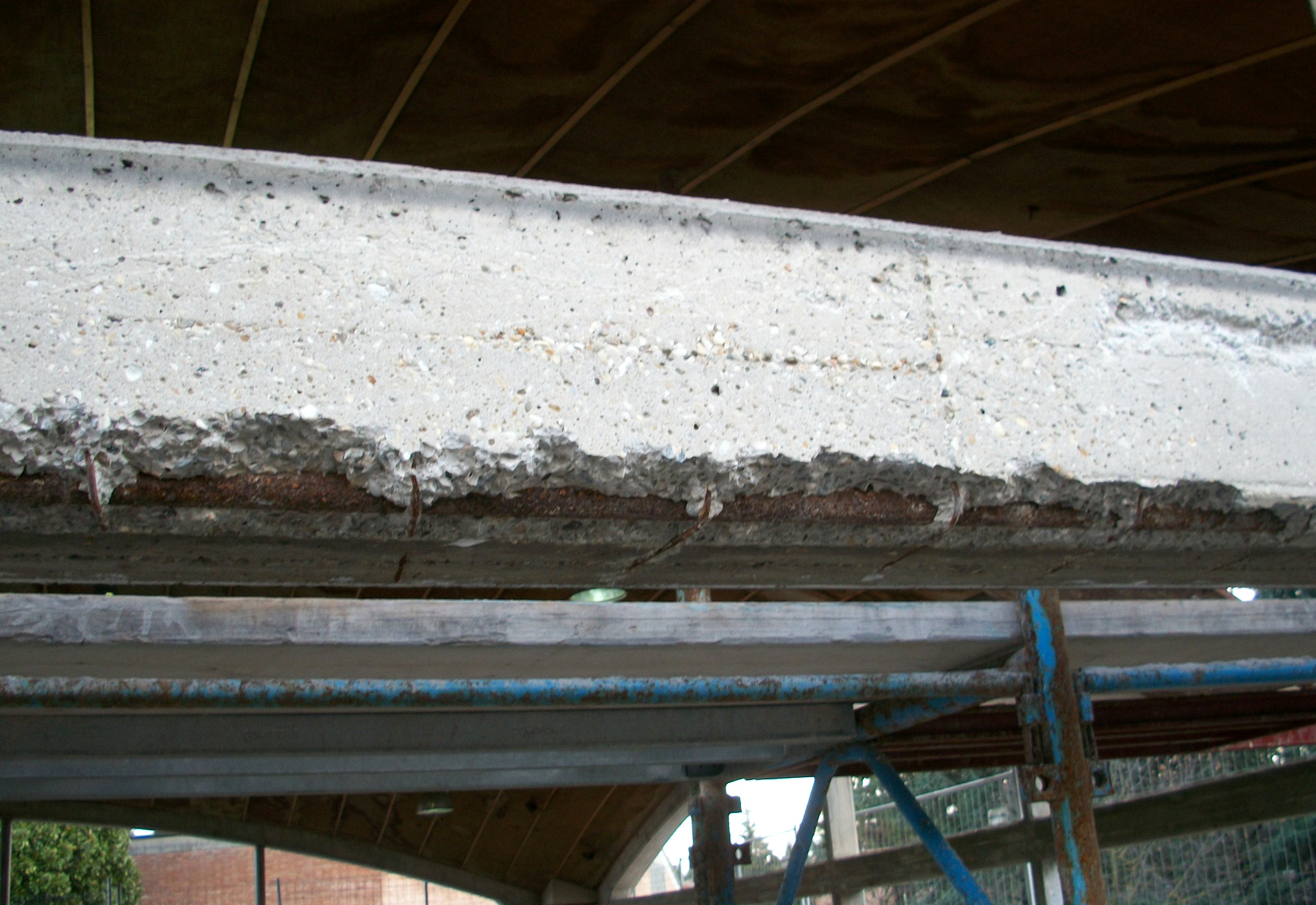 2011 年建设的多功能文化中心——O.S.E.A-16