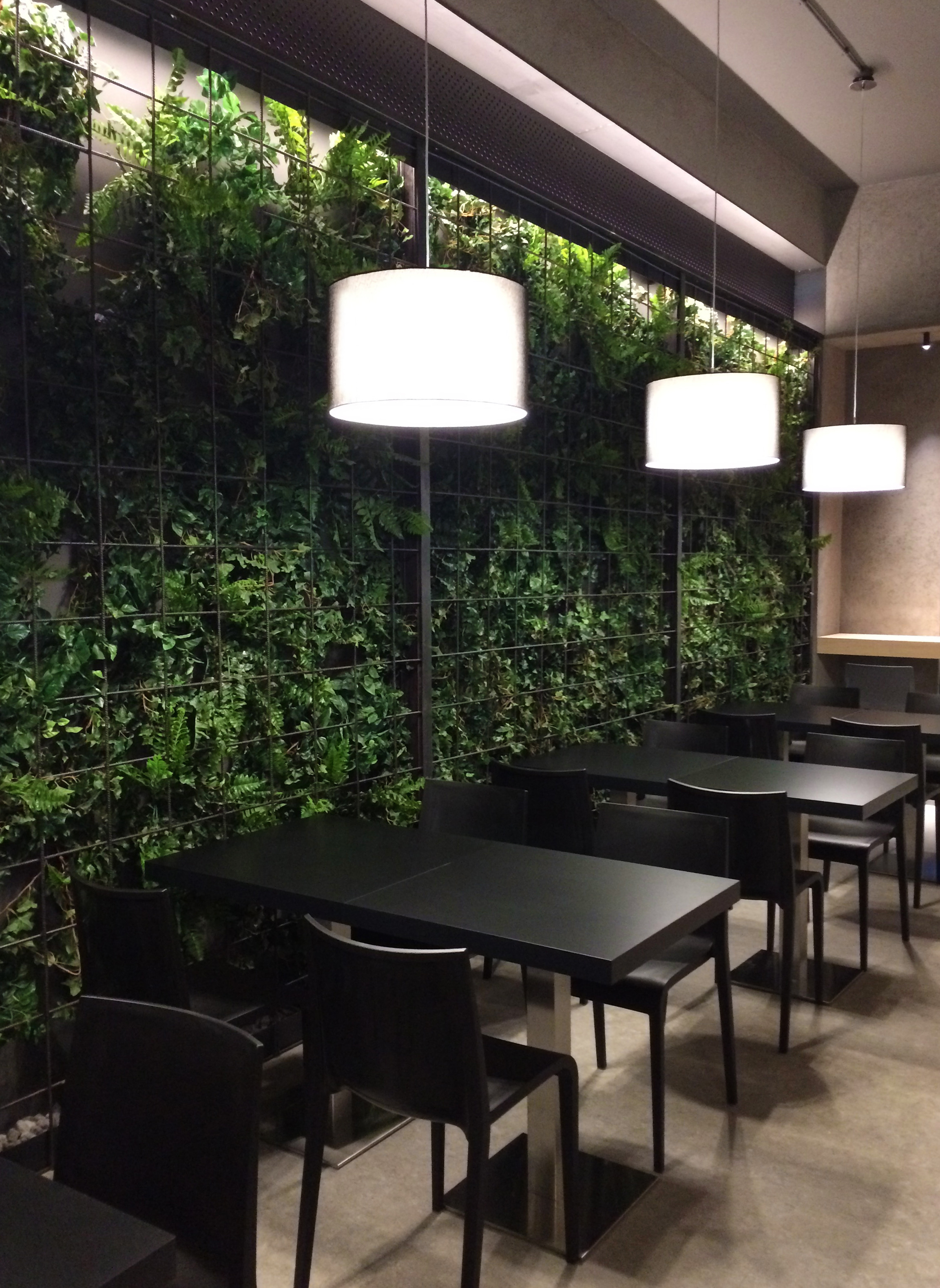 self可译为自我自身自己等；cafè应是café，可译为咖啡馆咖啡店-21