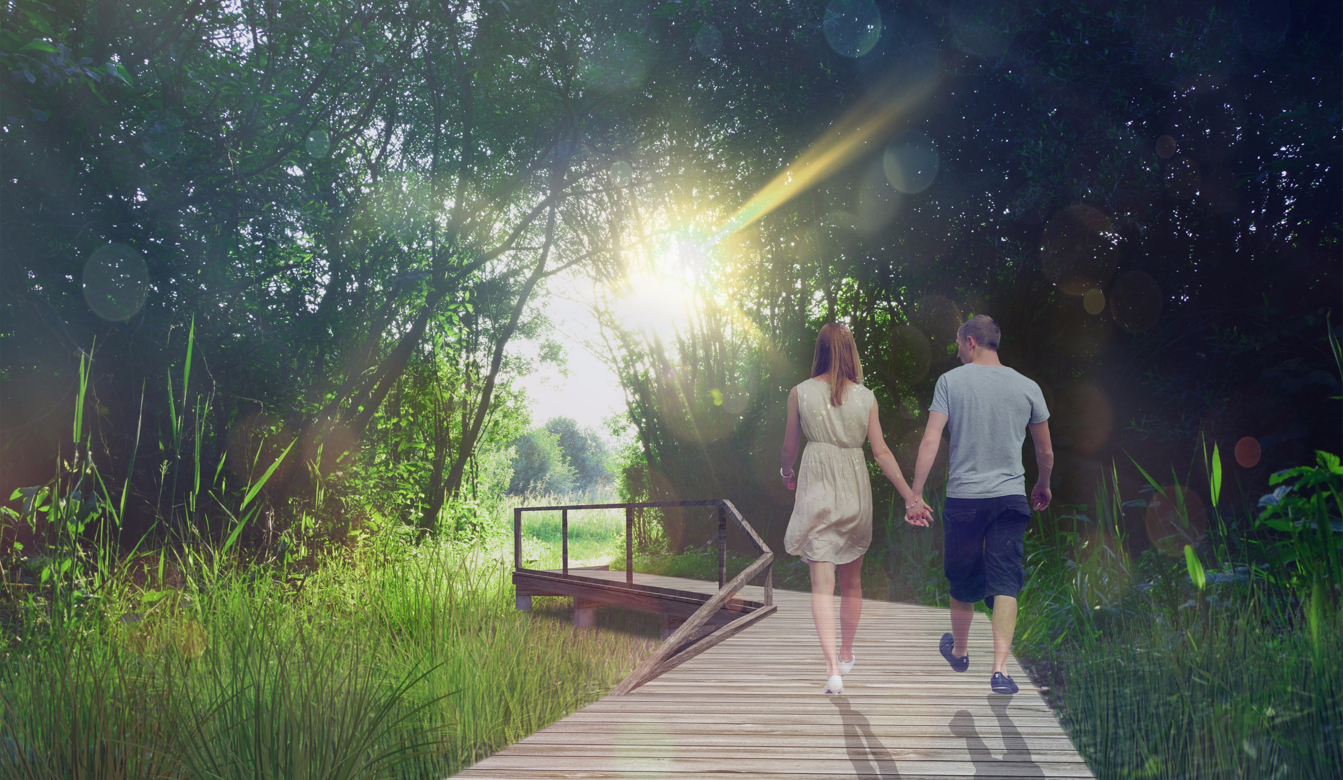 绿意盎然的城市公园-9