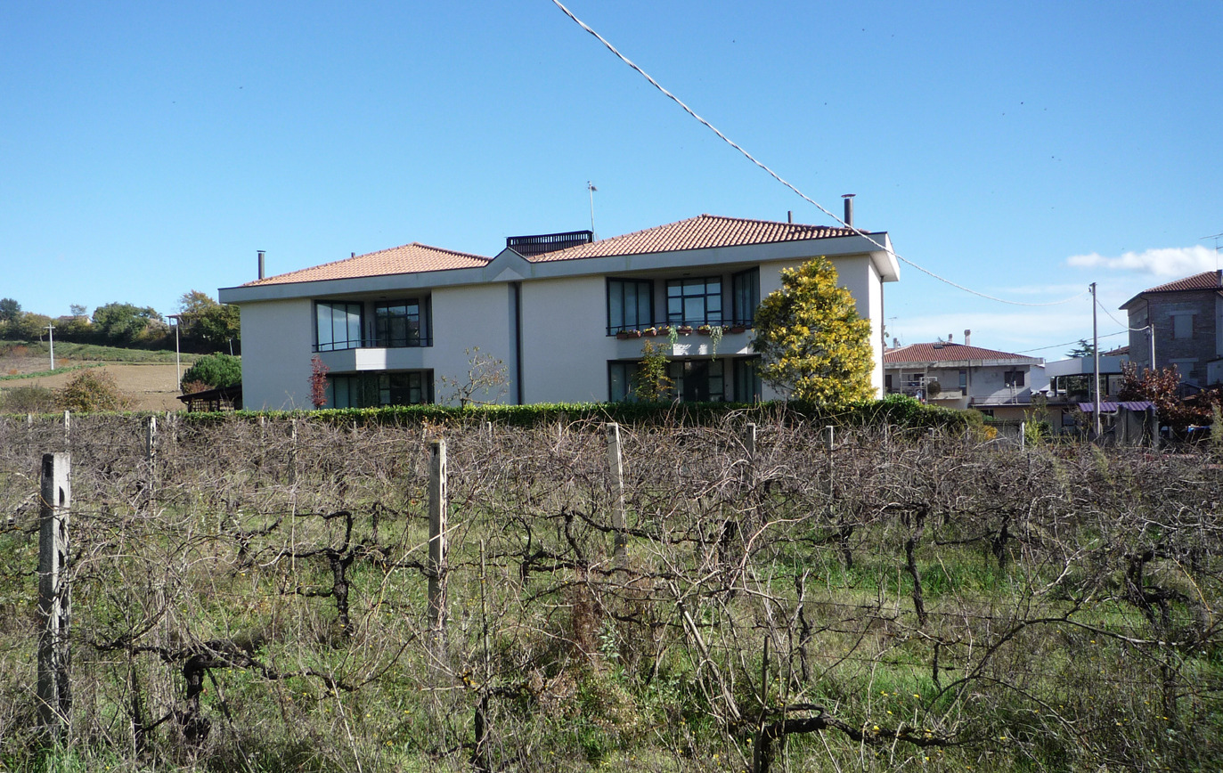 阳光与绿意共生 | 家庭住宅设计案例-2