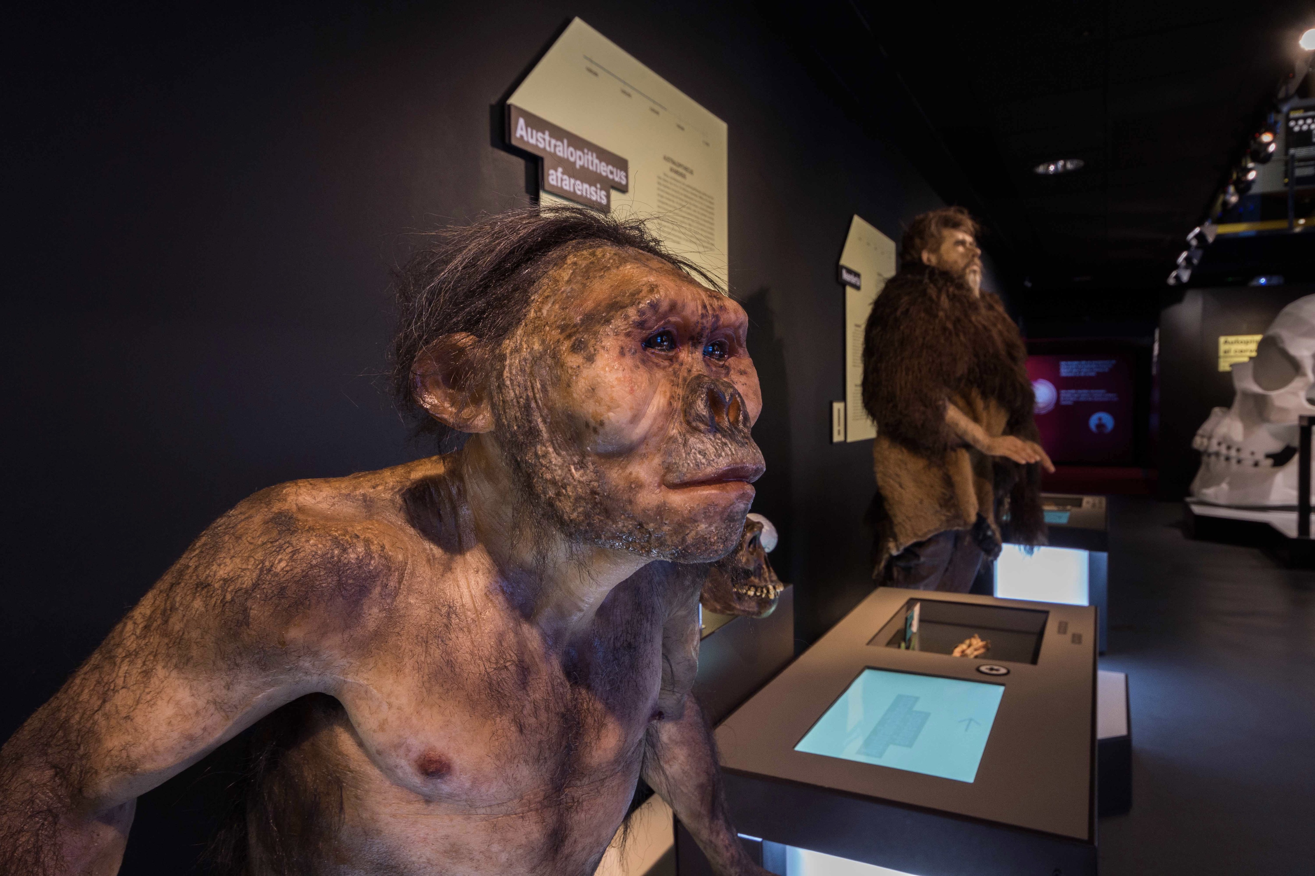 Talking Brains 展览设计-33