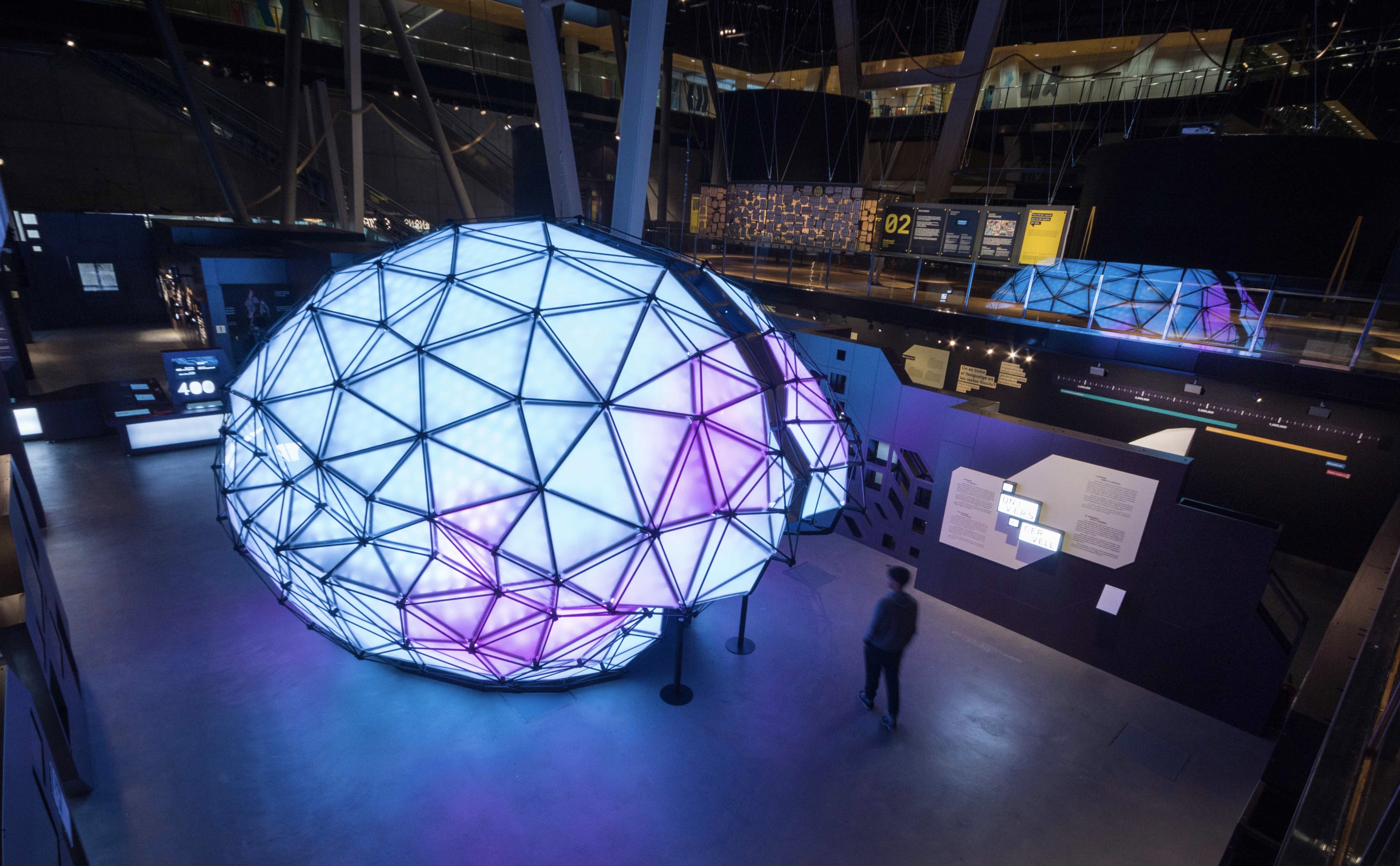 Talking Brains 展览设计-1