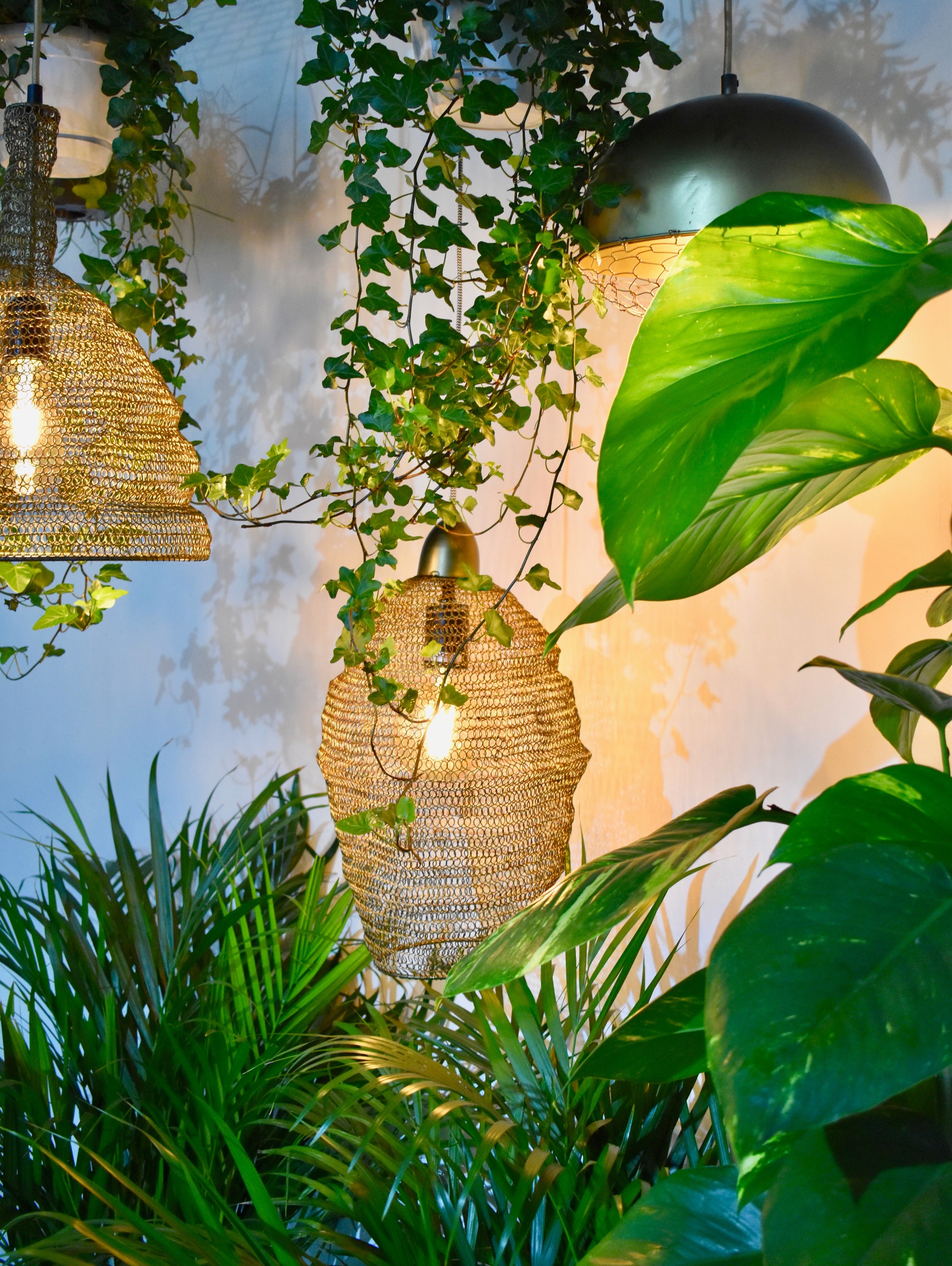 动感空间 | 荷兰 Deventer 健身工作室 Rechtuit-7