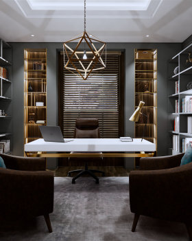 Home Library（家庭图书馆）