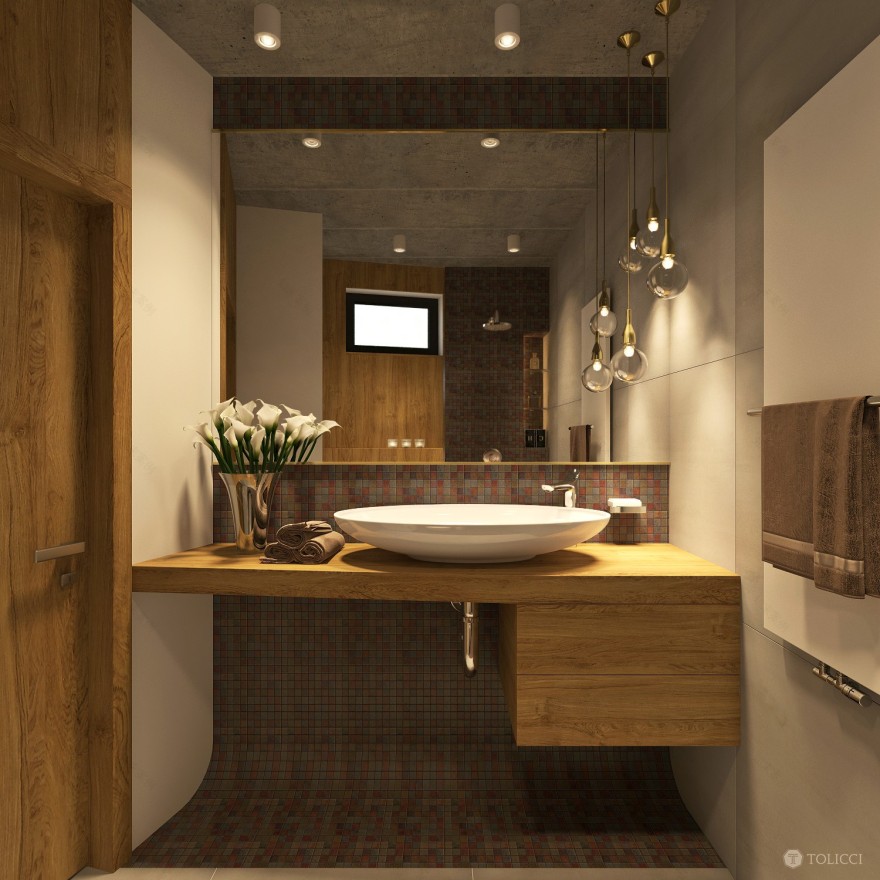 2015 年未实现的布拉提斯拉瓦家庭住宅设计-9