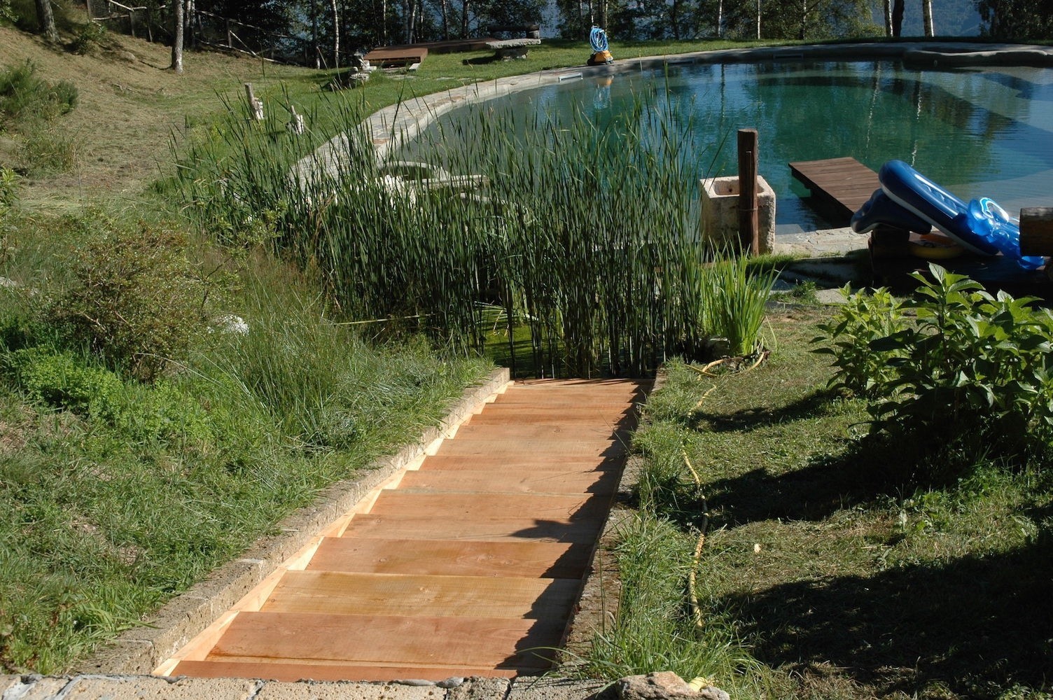 自然泳池边的生态住宅-3