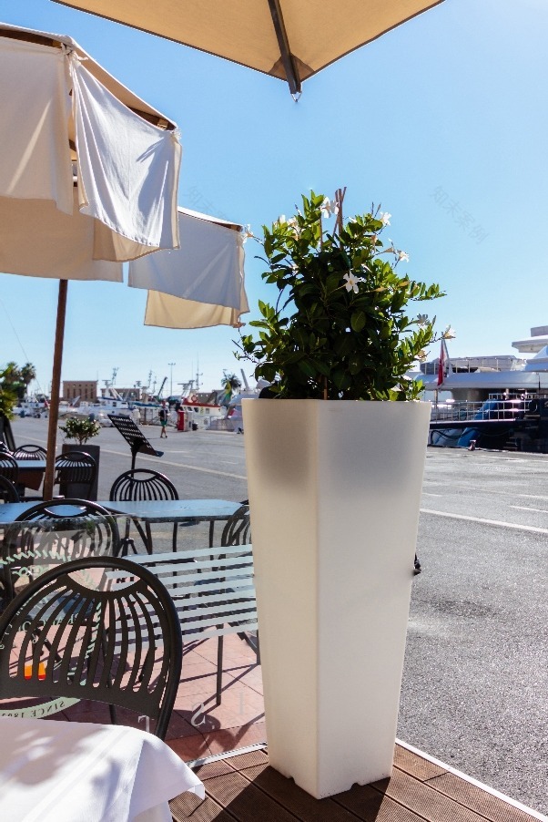 Plart Design 餐厅露台空间摄影-1