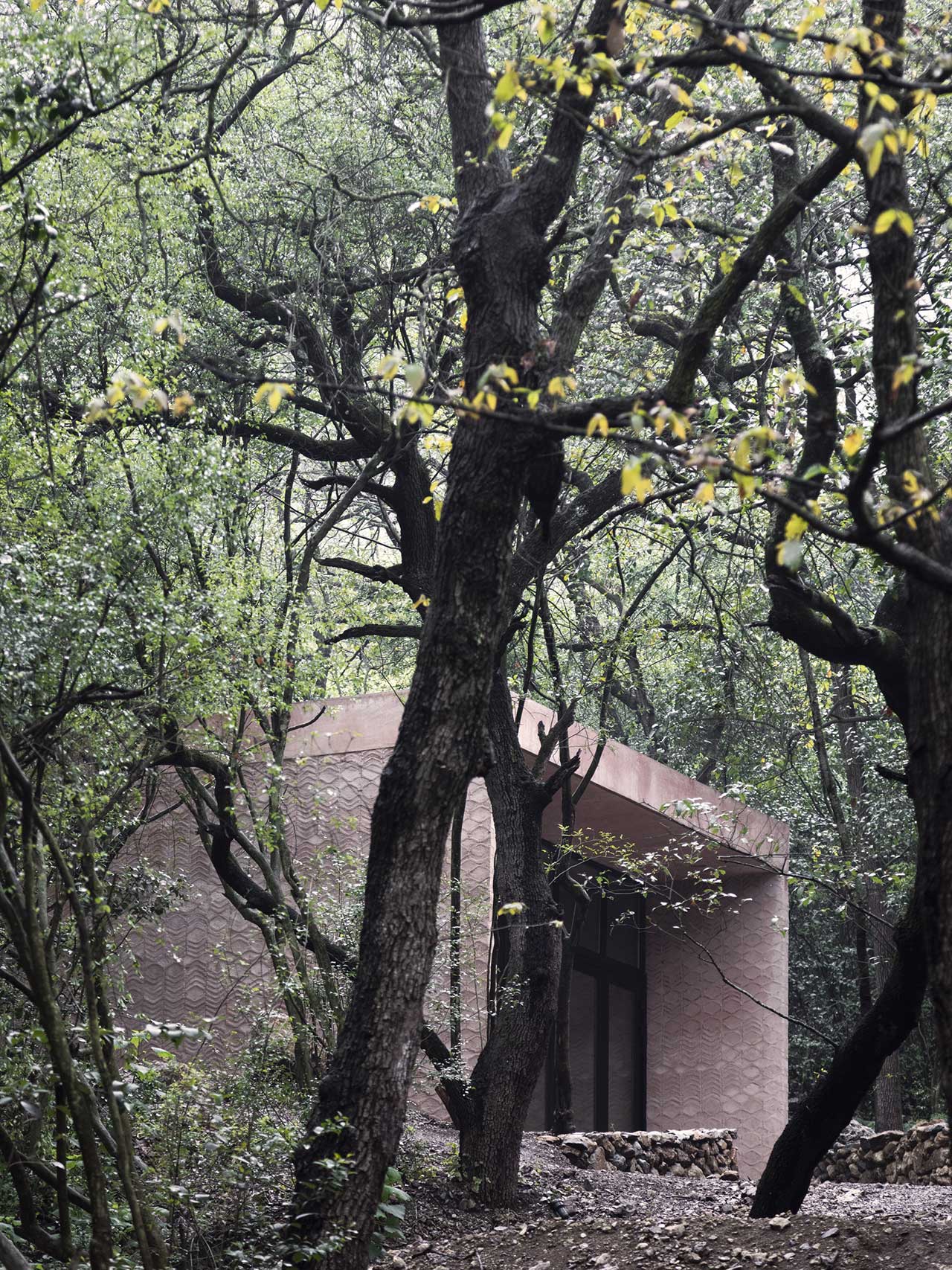 洛斯泰瑞诺斯(Los Terrenos)度假屋-30