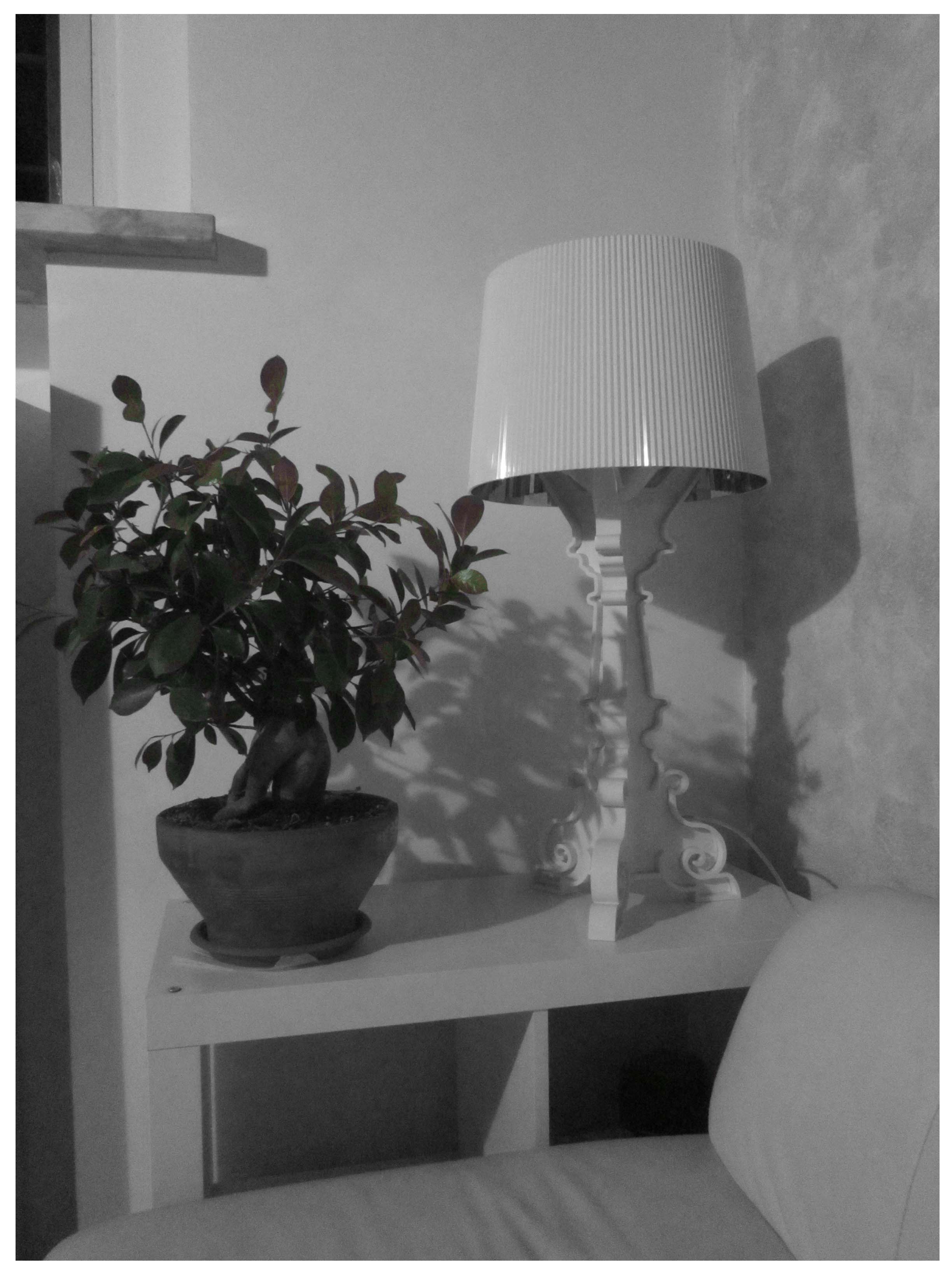 1980 年 AZ STUDIO 住宅 | 现代风格室内设计典范-28