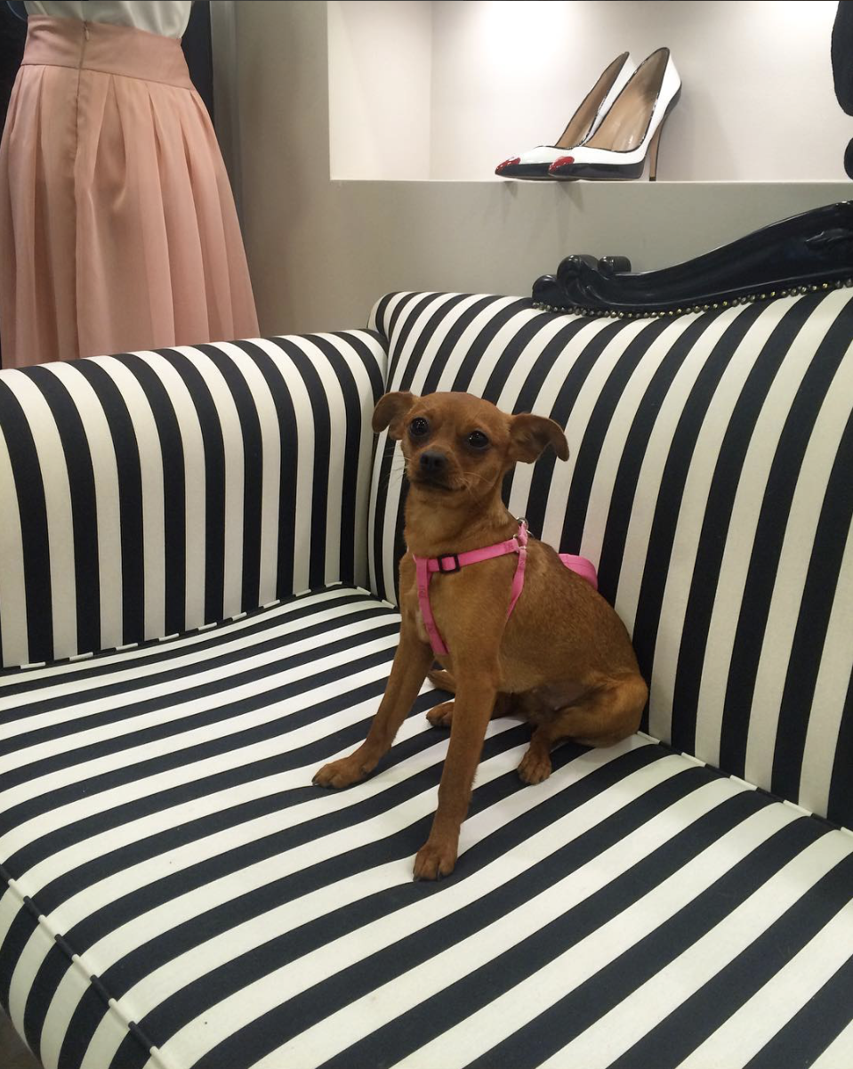 雅典设计师打造梦幻家居空间-333