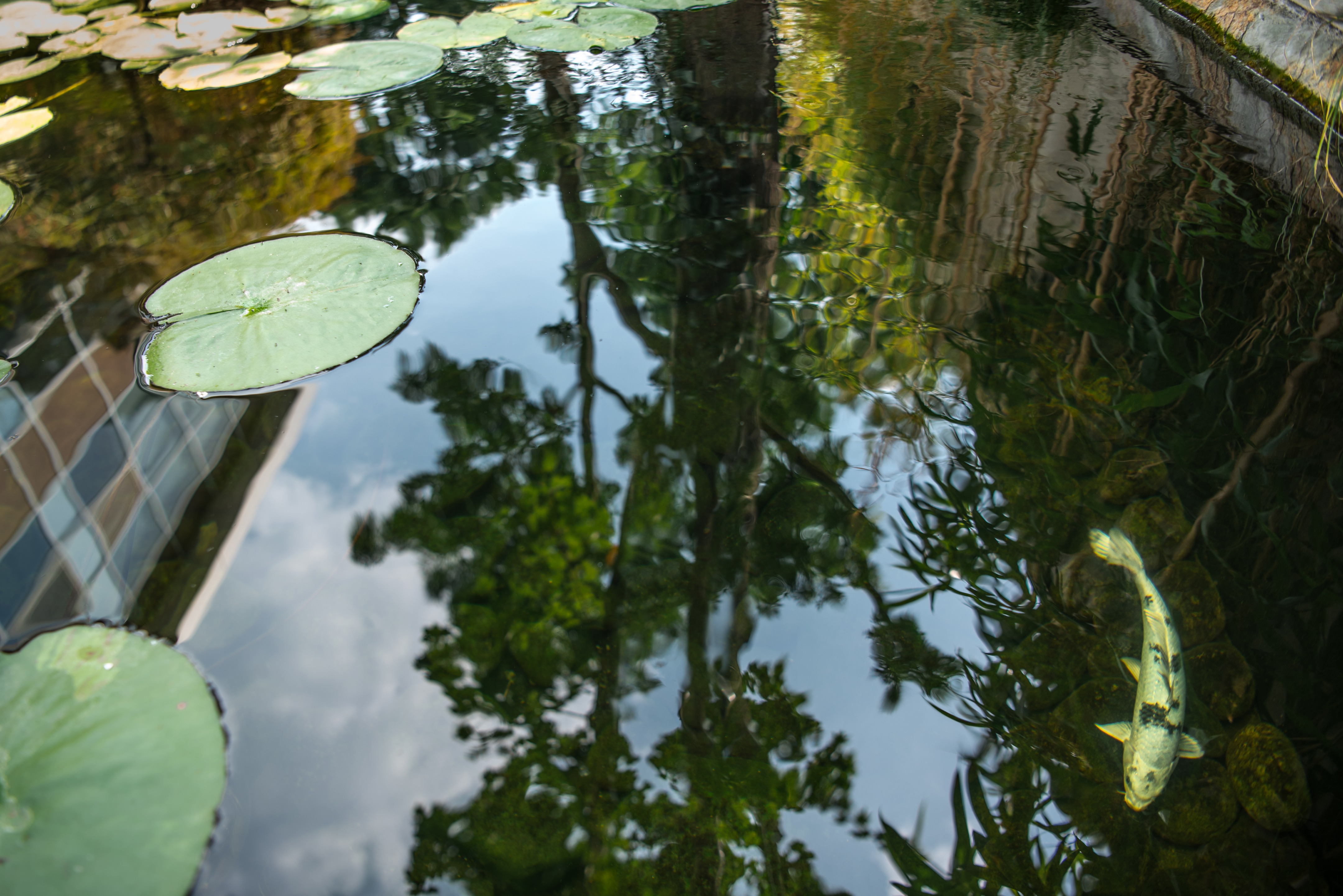 乌克兰 Azuma 餐厅露台 | 城市绿洲的餐饮空间-12