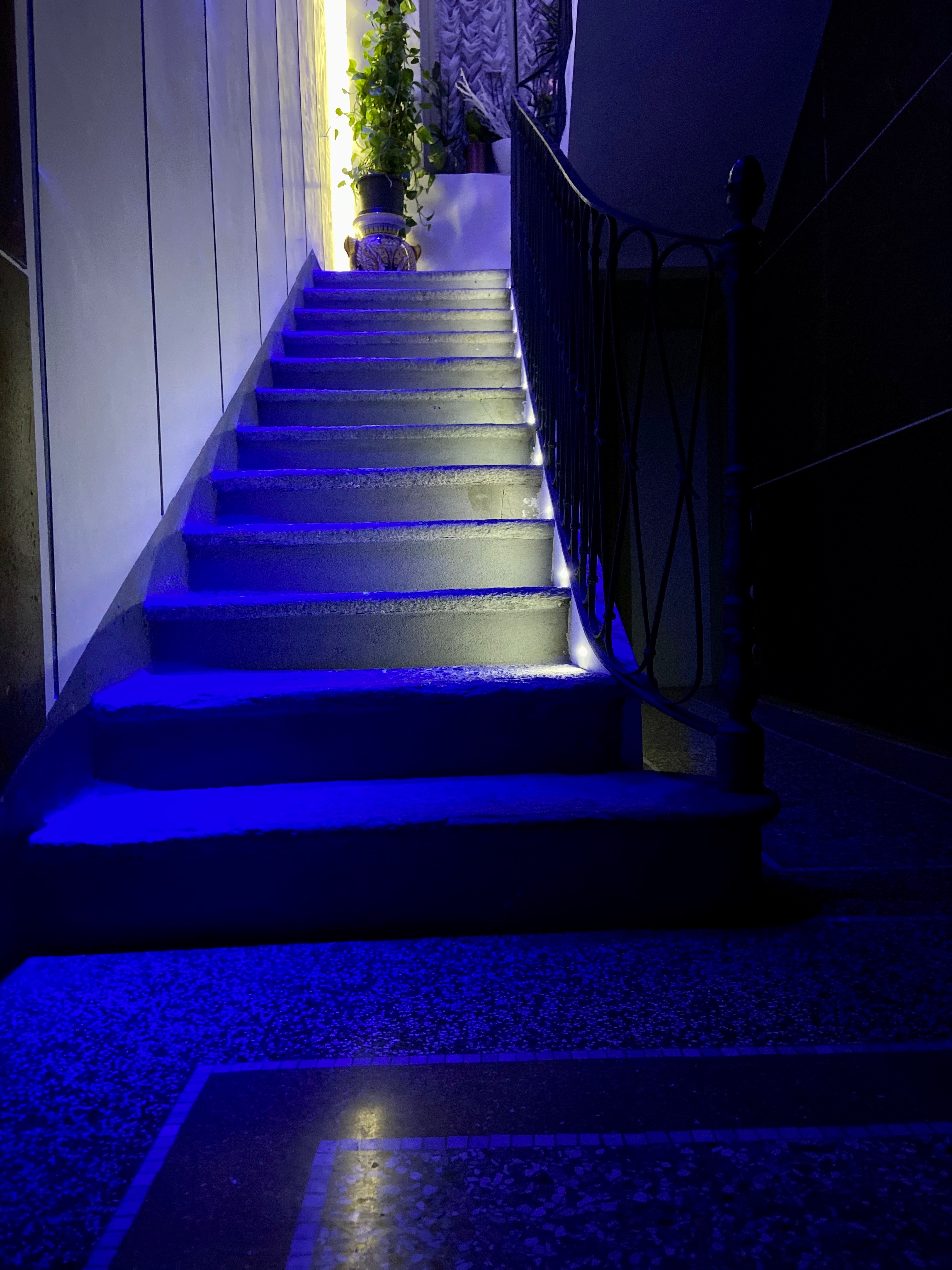 私人住宅酒窖设计-8