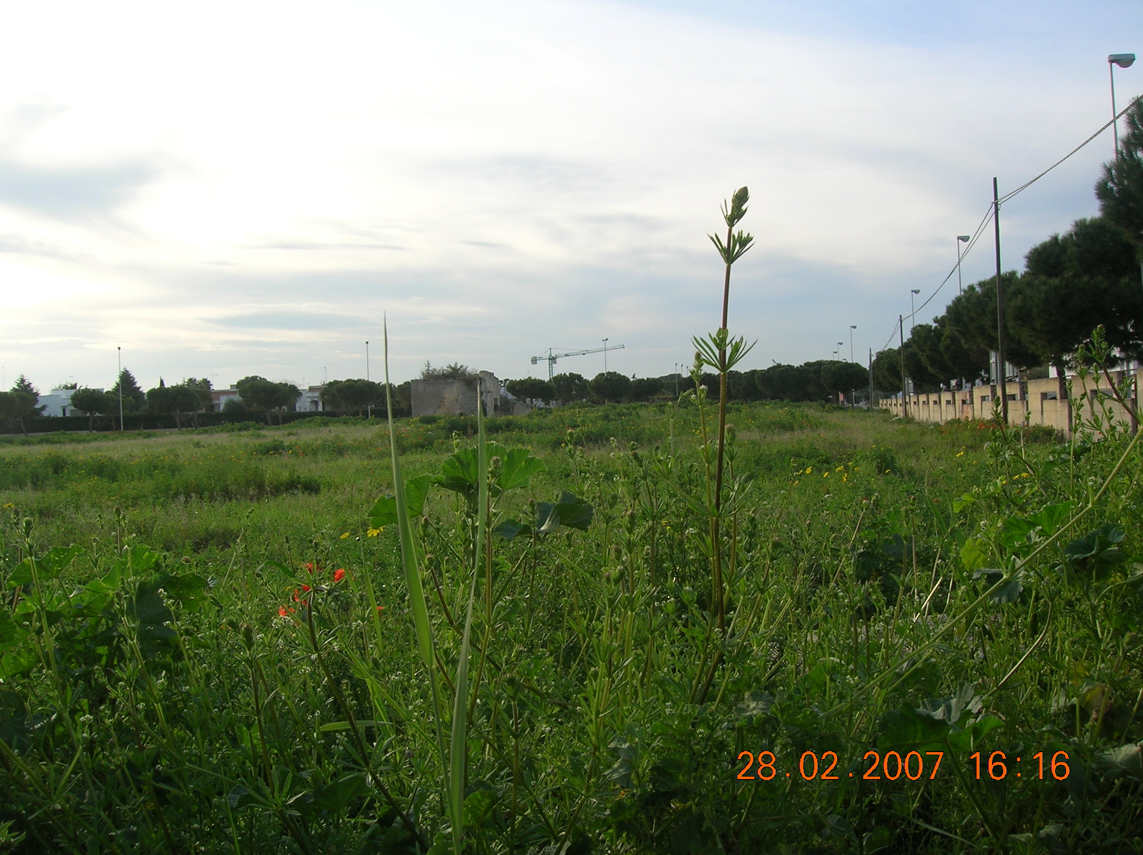 2013 年意大利公共设施规划 | bisceglie 城市发展项目-11