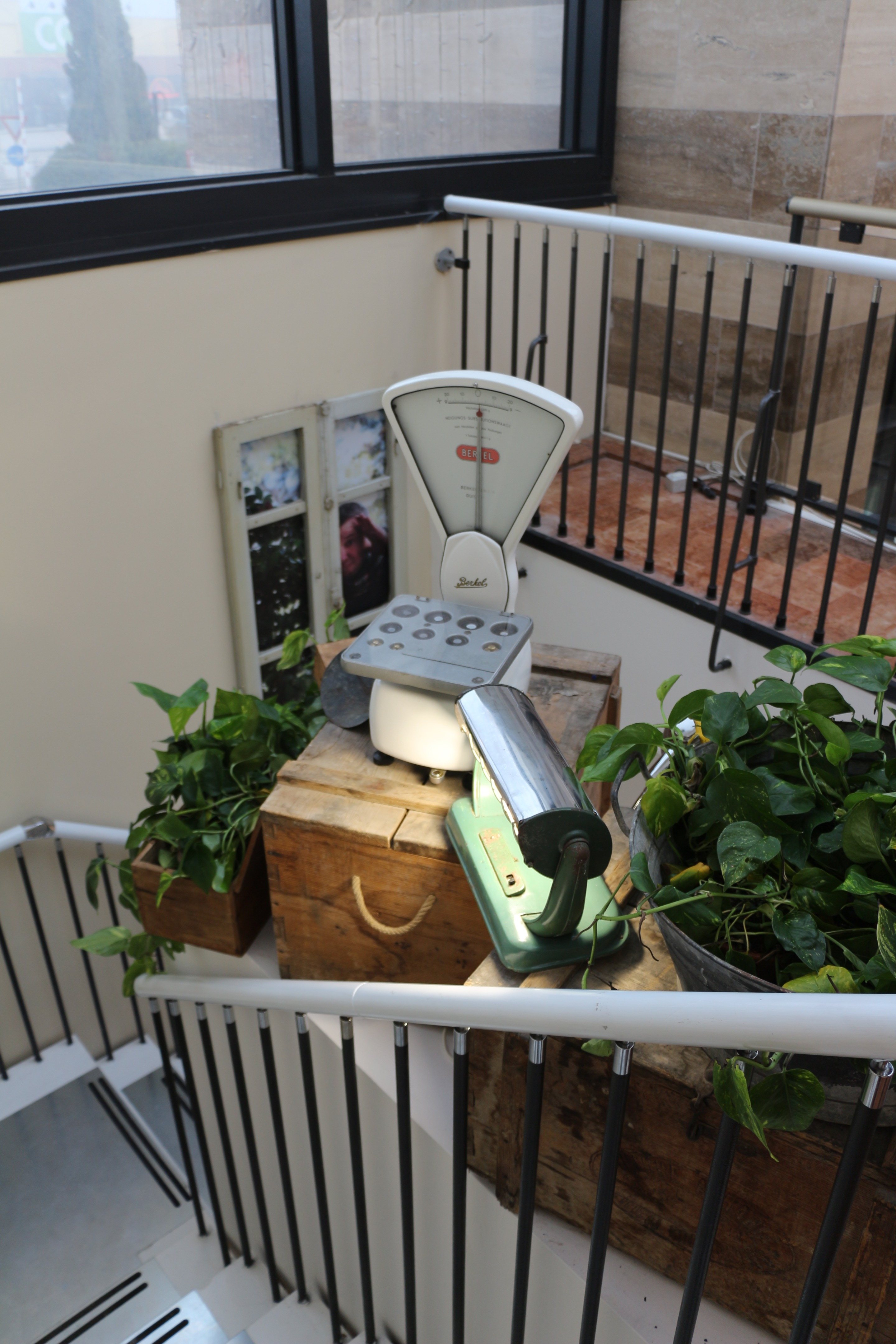 拉克雷塞里亚-8