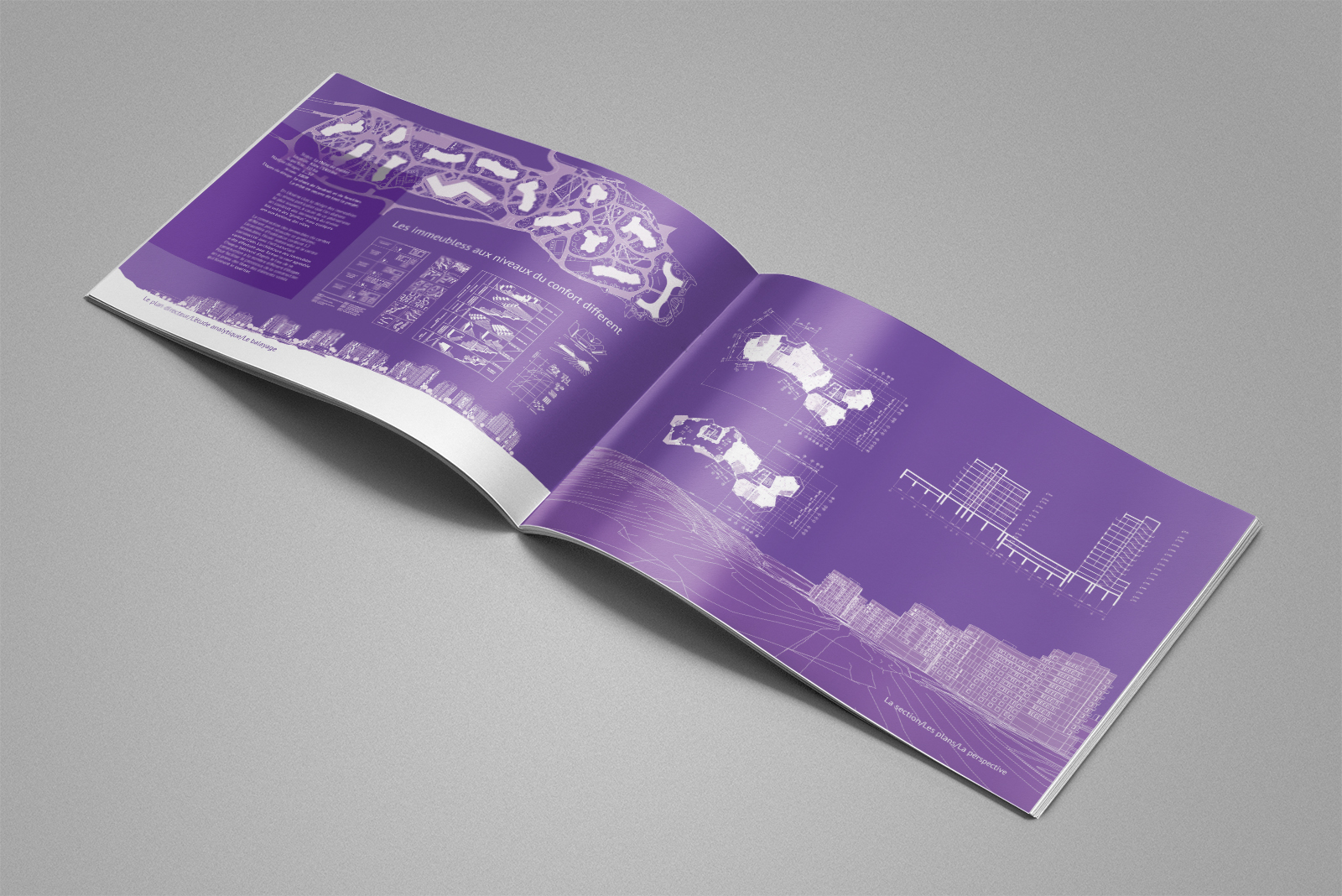 知名设计师打造的前卫住宅设计-6