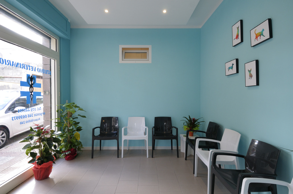 90 平米兽医诊所的舒适空间设计-3