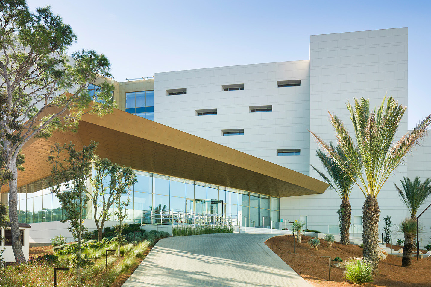 希波泰尔帕尔马海滩皇宫酒店 5 星-11