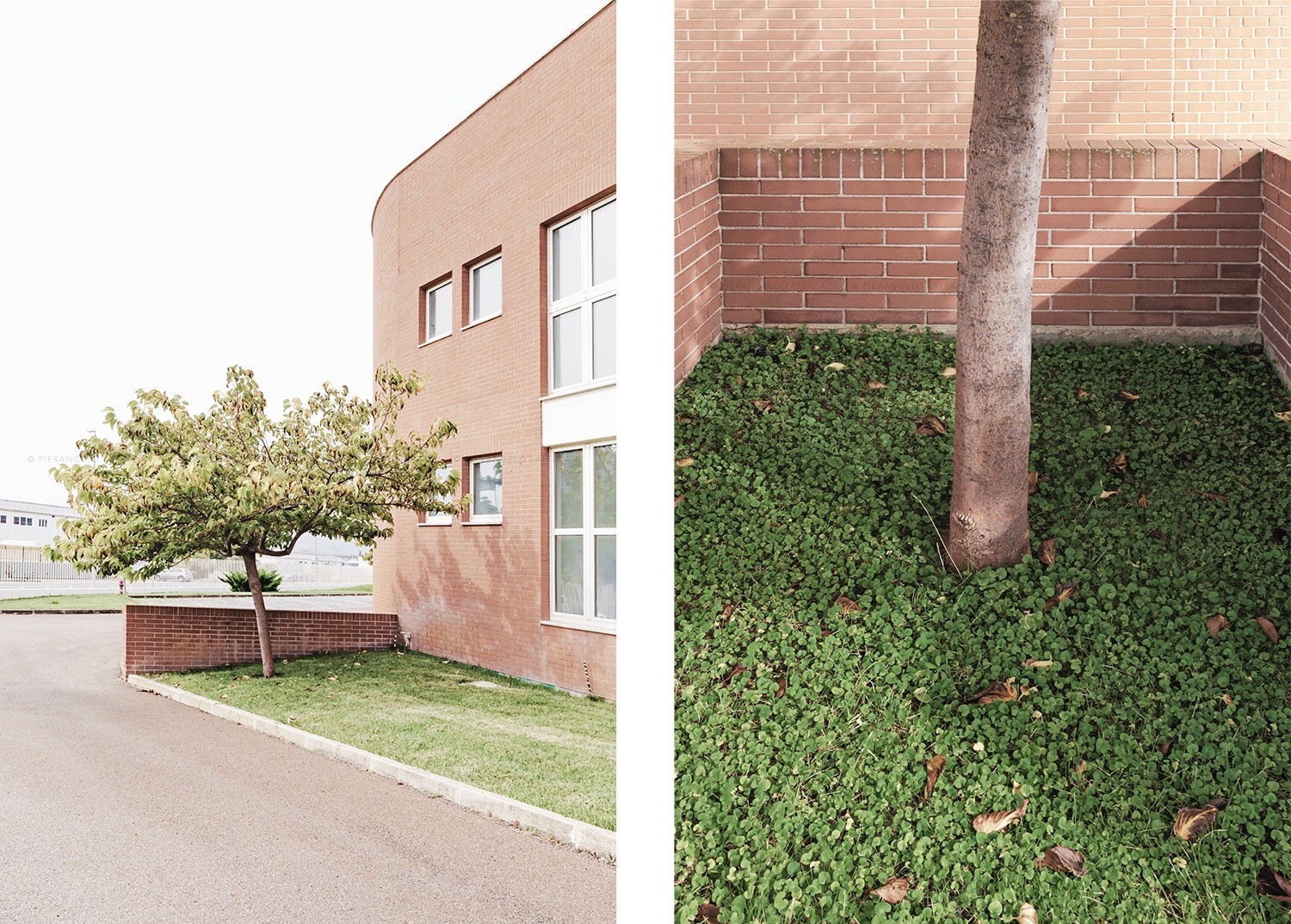 安特扎排版机-5